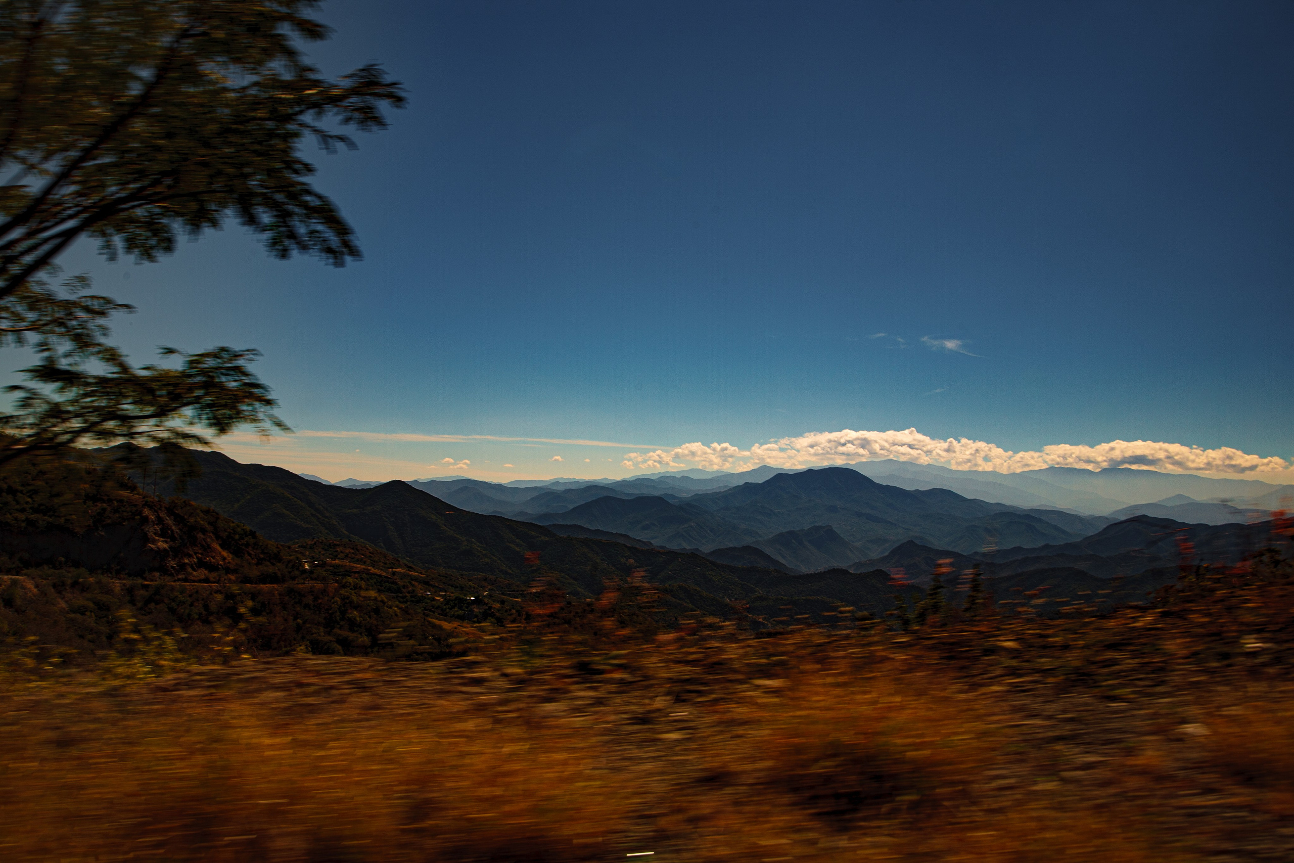 EXHIBITION. Lero Photographer and a set designer|individual custom portrait and advertising photography in Zutphen