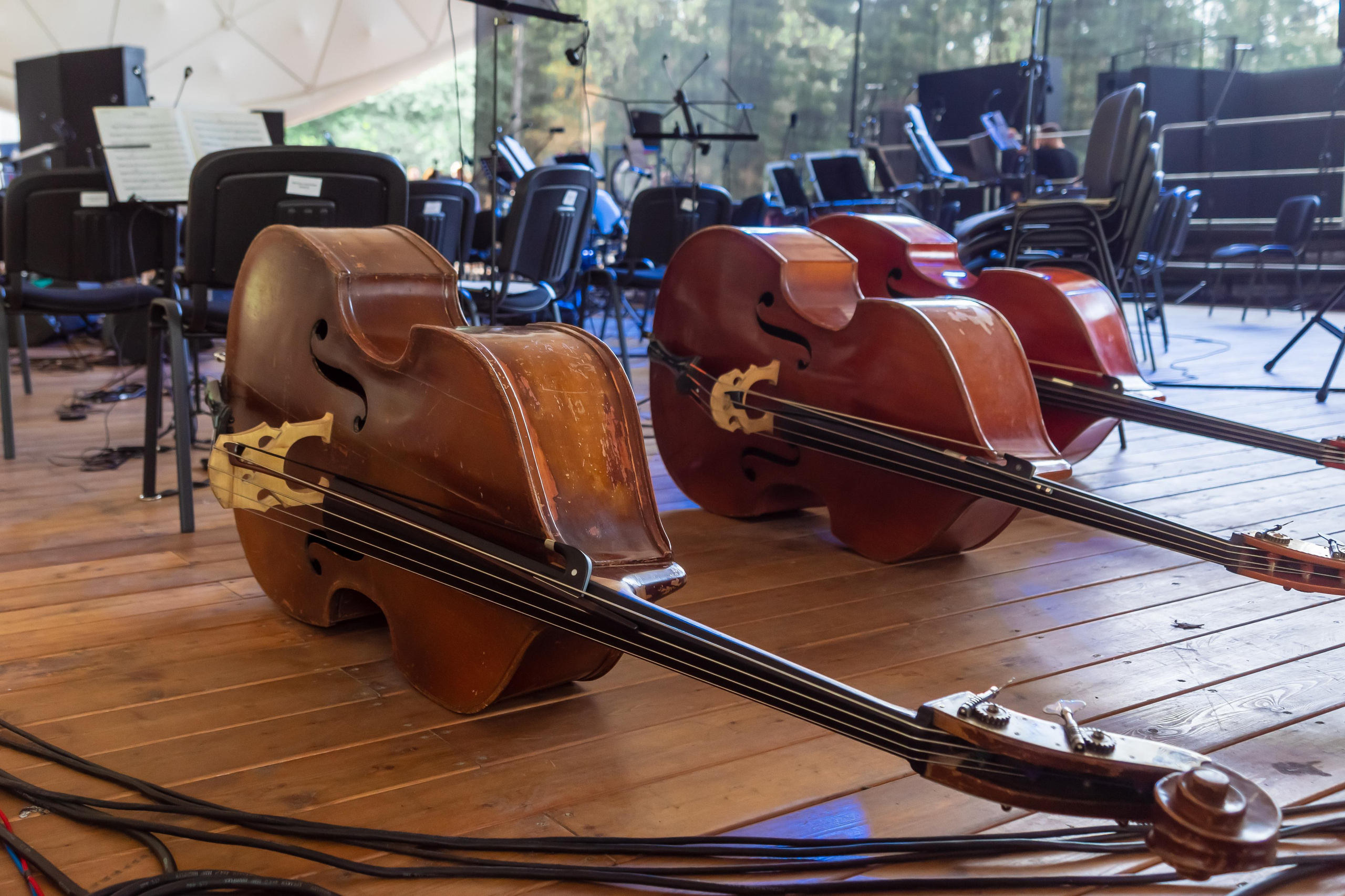 Koncert charytatywny „Sail Fundation” w szczecinie na Teatr Letni. Rodzinny i weselny fotograf w Szczecinie, Dennis