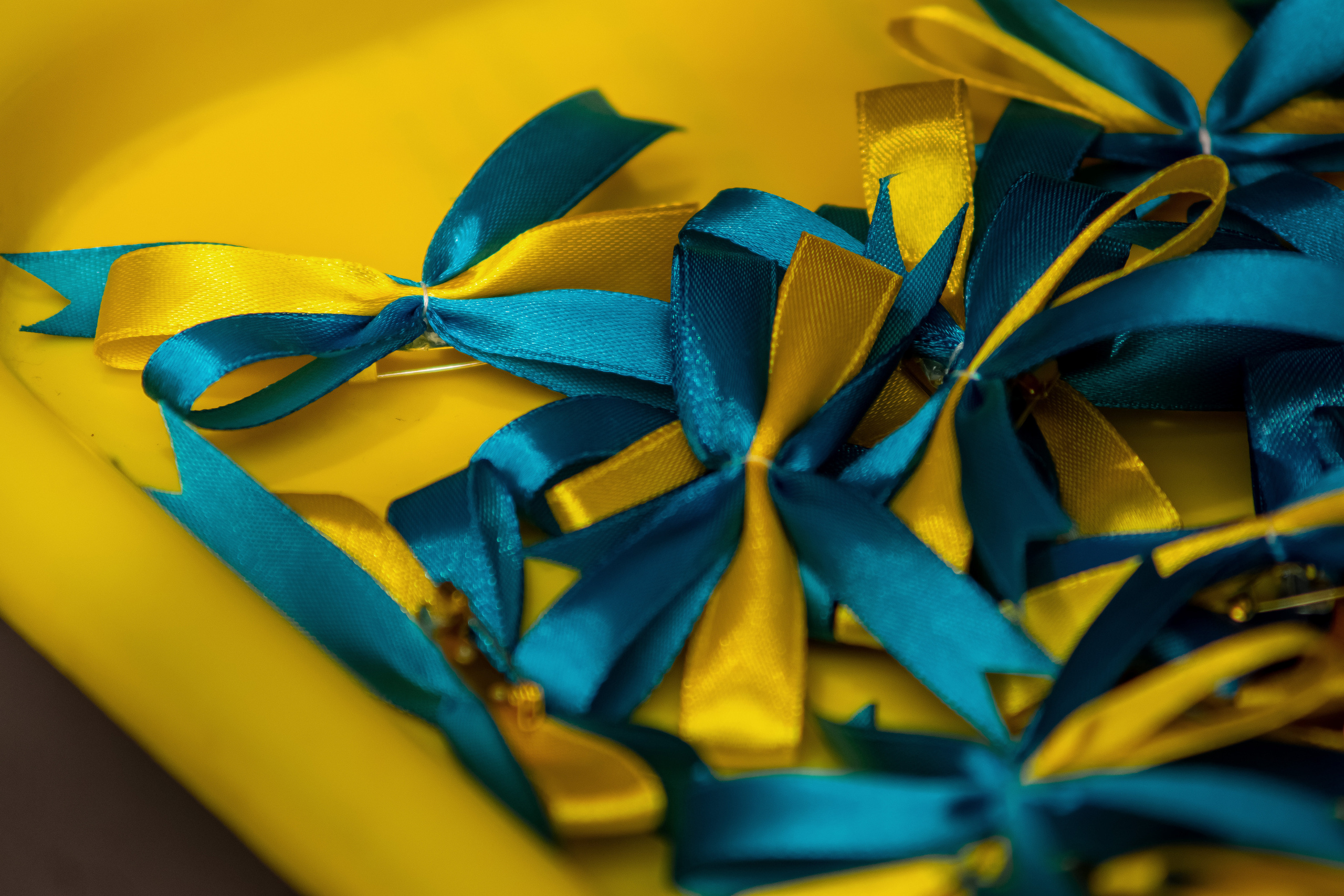 Koncert charytatywny „Sail Fundation” w Szczecinie w Museum Sztuki. Rodzinny i weselny fotograf w Szczecinie, Dennis