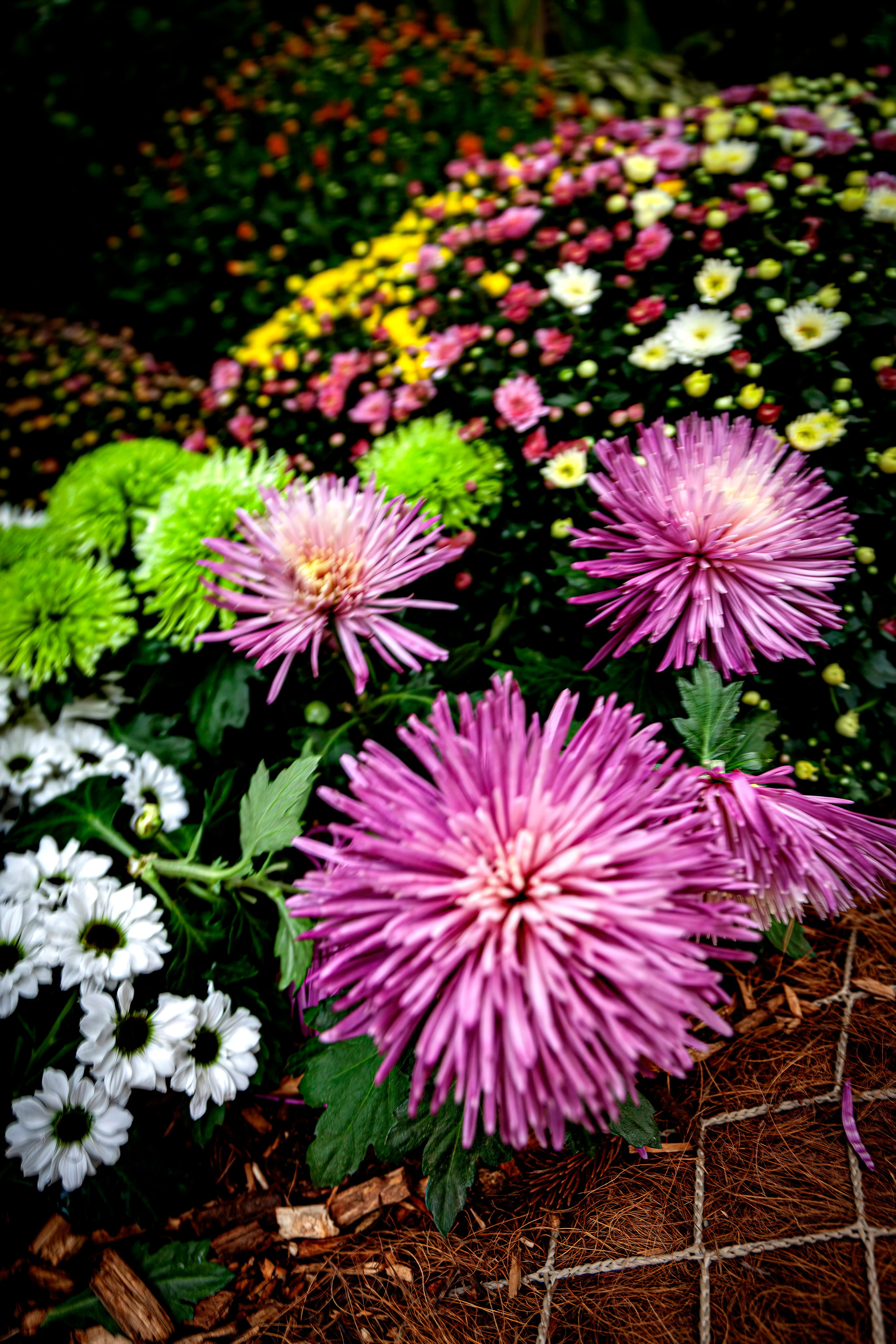 187.Mainau.Germany.24.9.2024. Путешествия в формате 360......