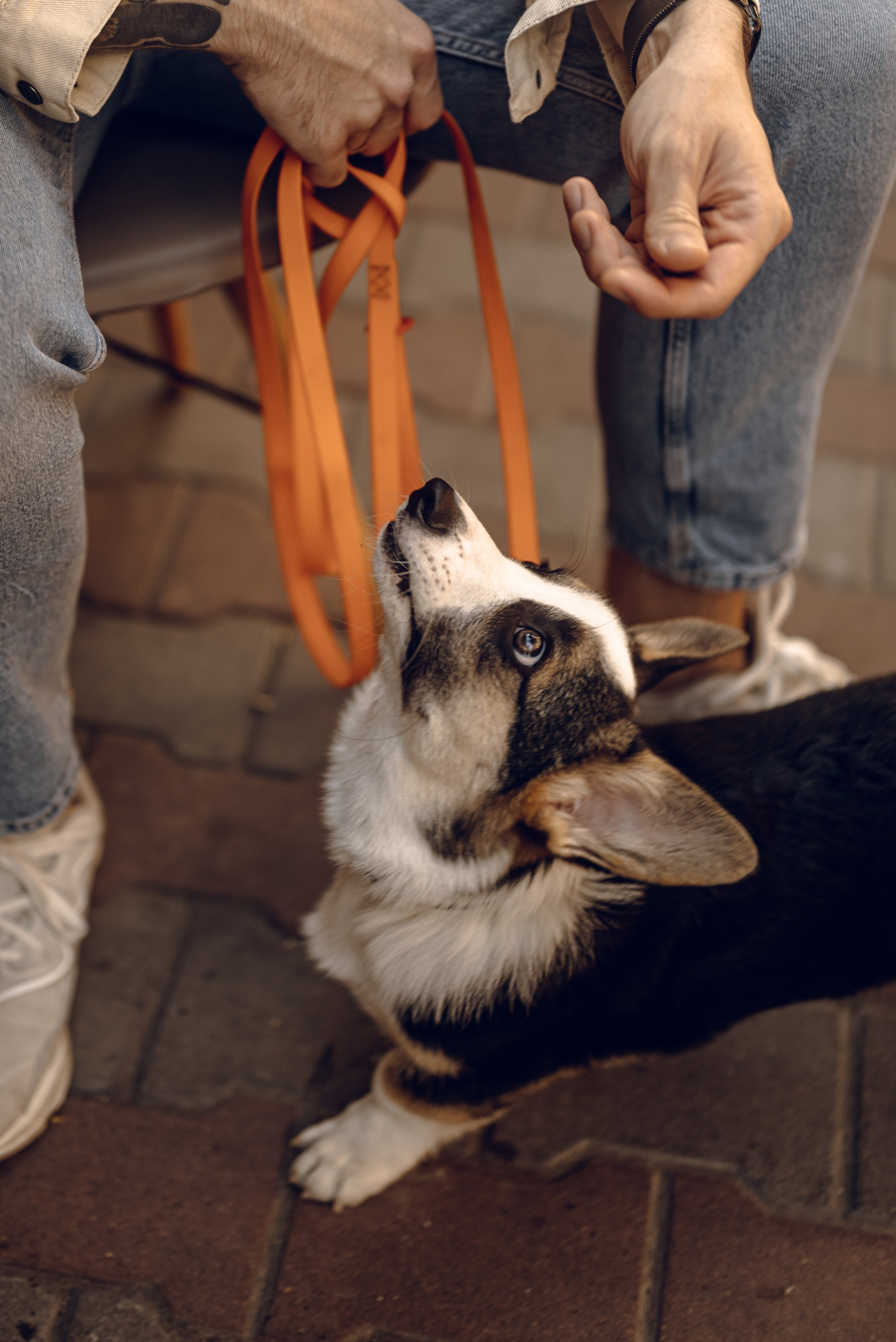 Анна, Назар и Морти. Фотограф Ирина Новикова