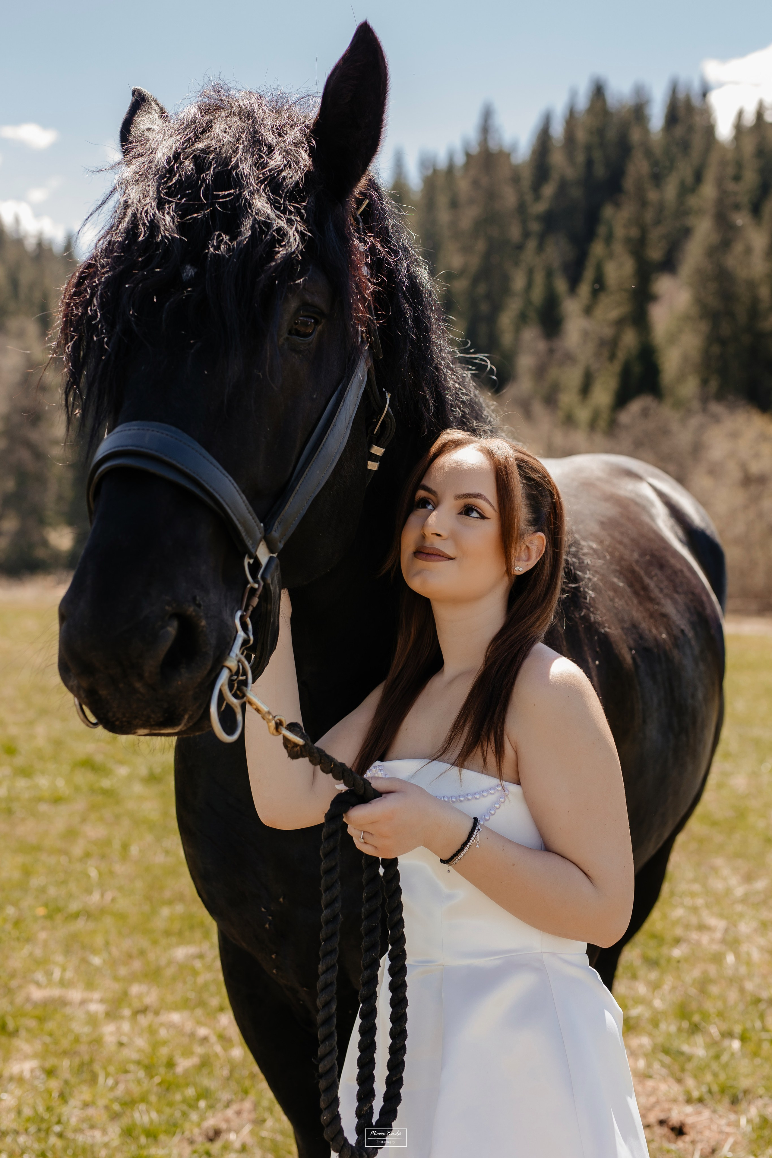 Save The Date — Ioana & Cătălin. Pagină Principală
