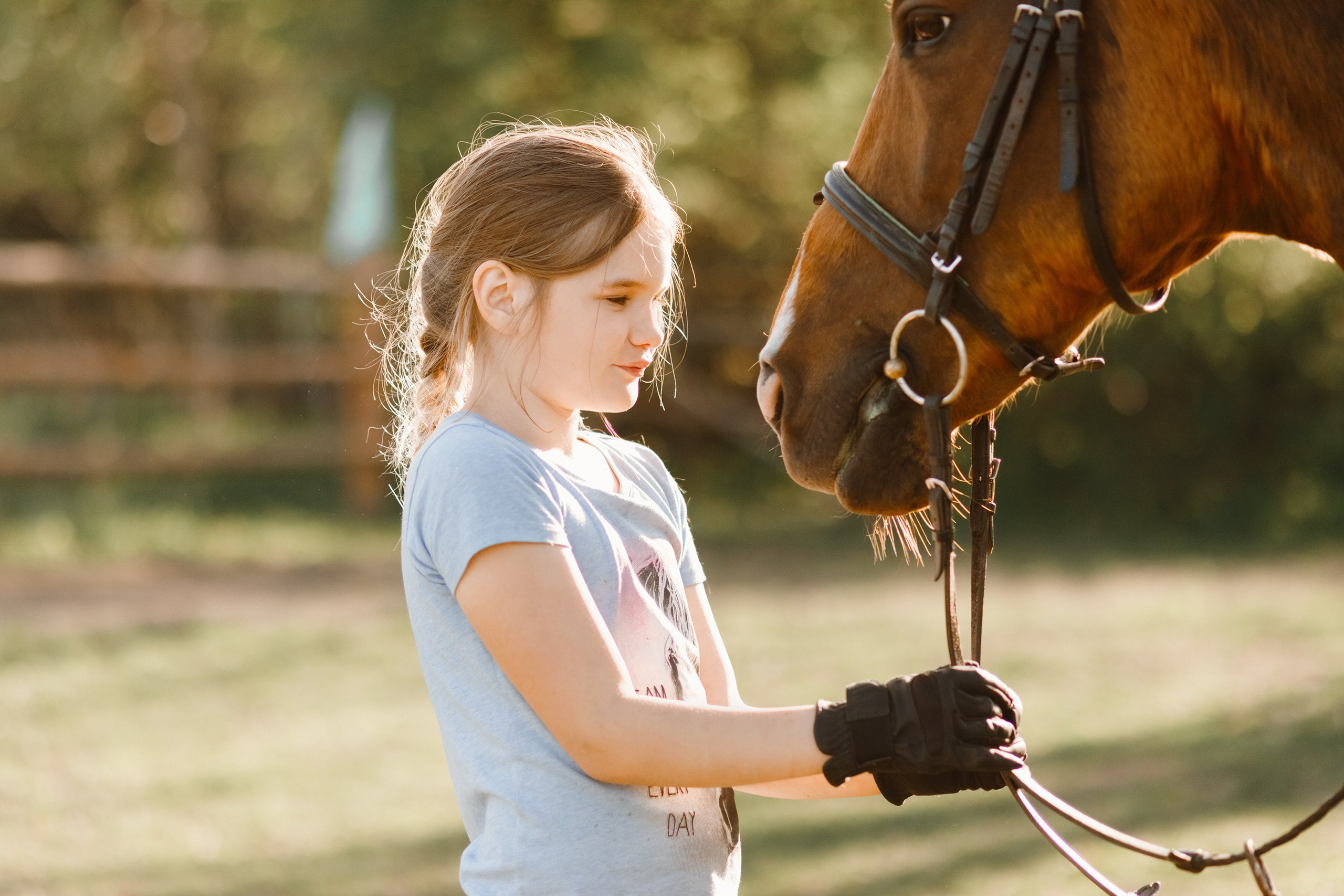 Girls & horses, summer. Kaja | fotograf psów we Wrocławiu