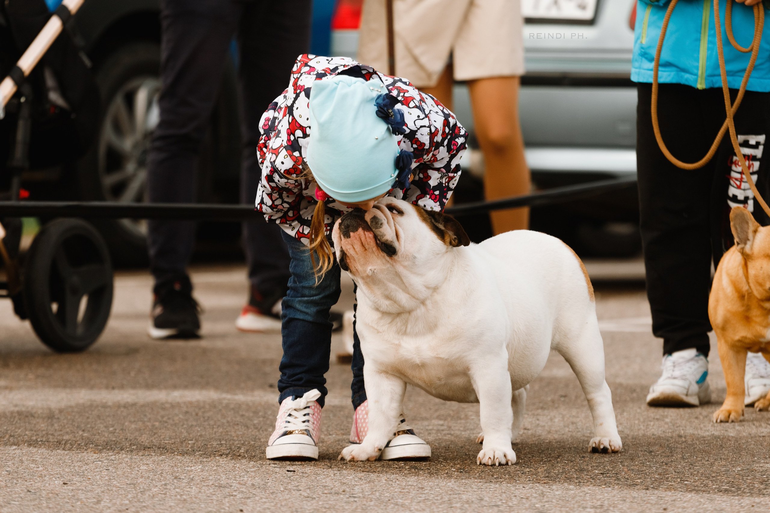Rainy dog show in Grodno. Kaja | fotograf we Wrocławiu | ludzie i psy