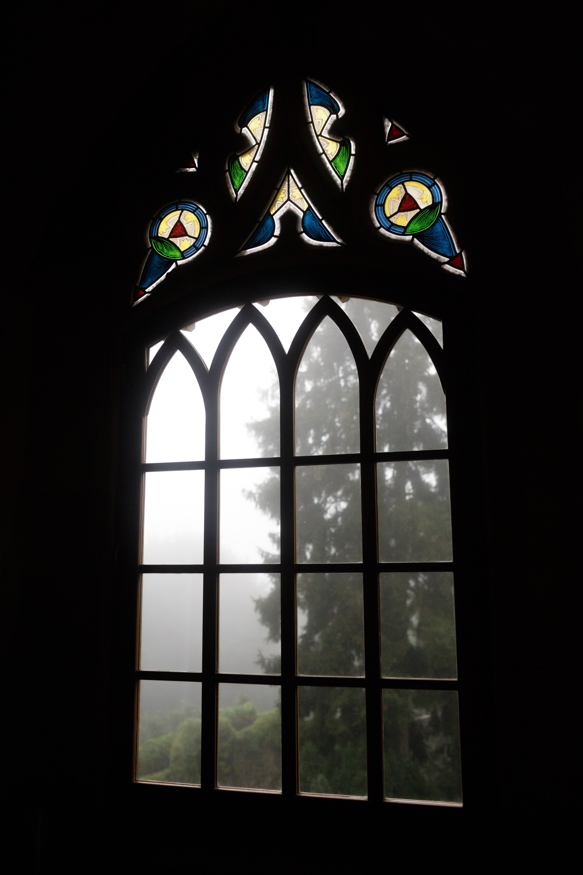 Zamek Grodziec. Kaja | fotograf psów we Wrocławiu