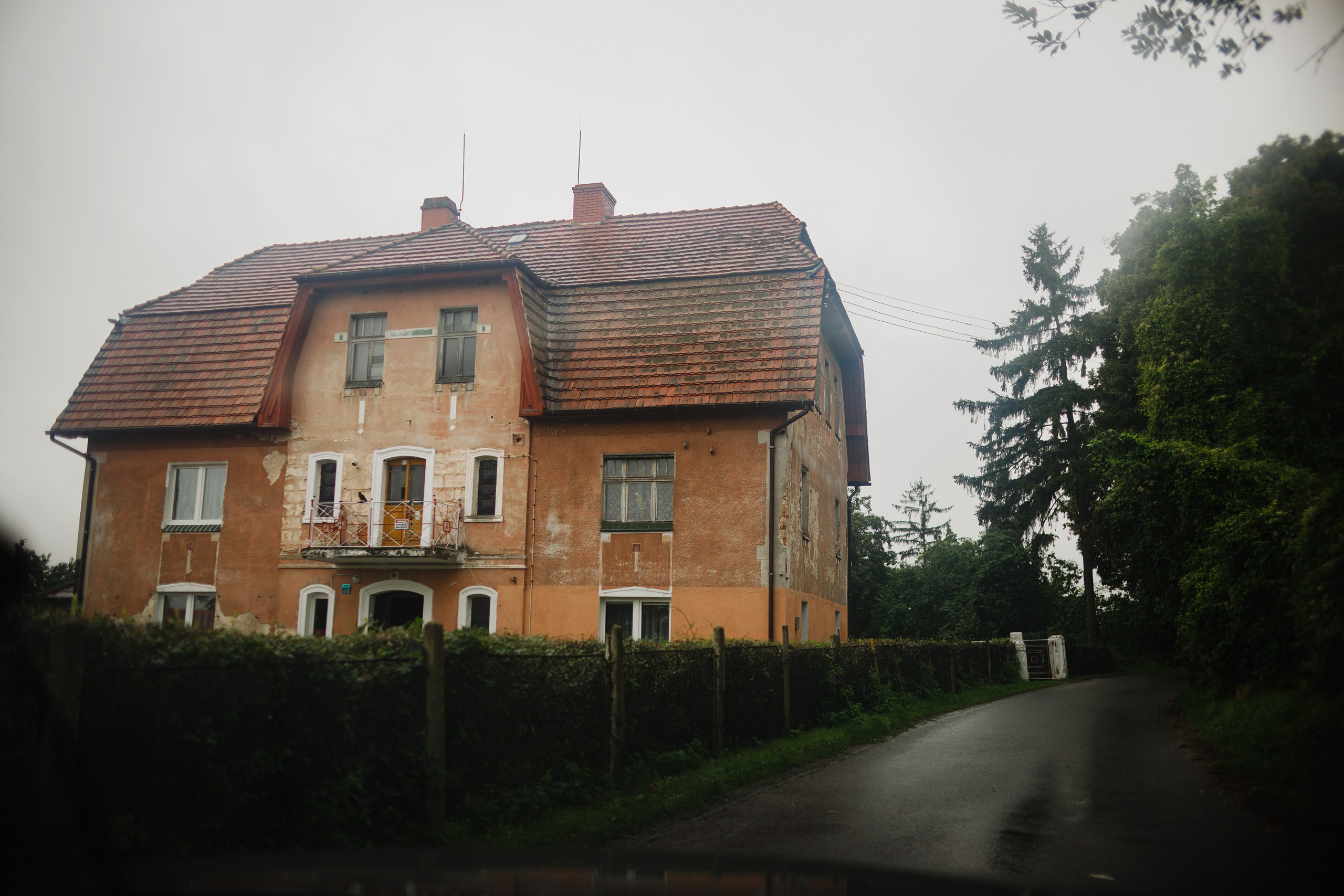 Zamek Grodziec. Kaja | fotograf psów we Wrocławiu