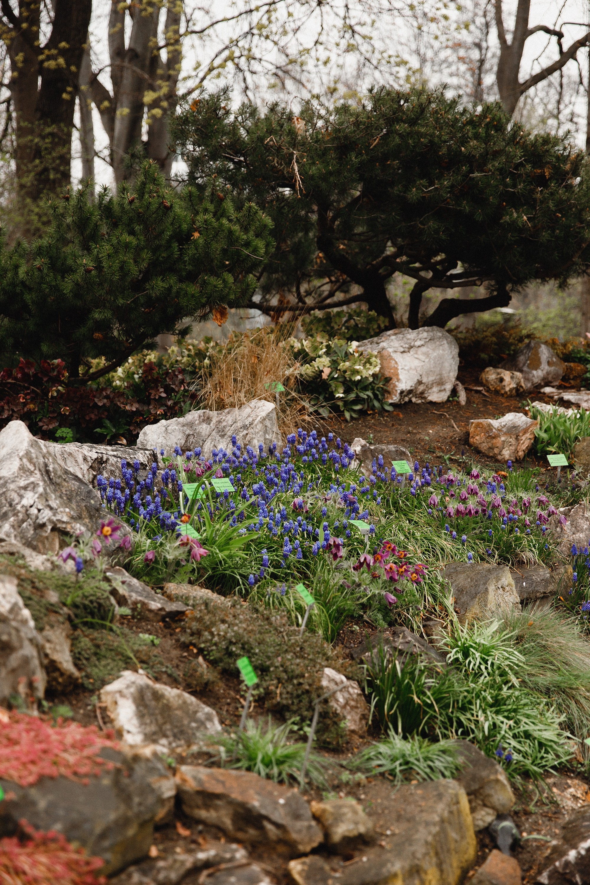 Botanical garden in Wroclaw. Kaja | fotograf we Wrocławiu | ludzie i psy
