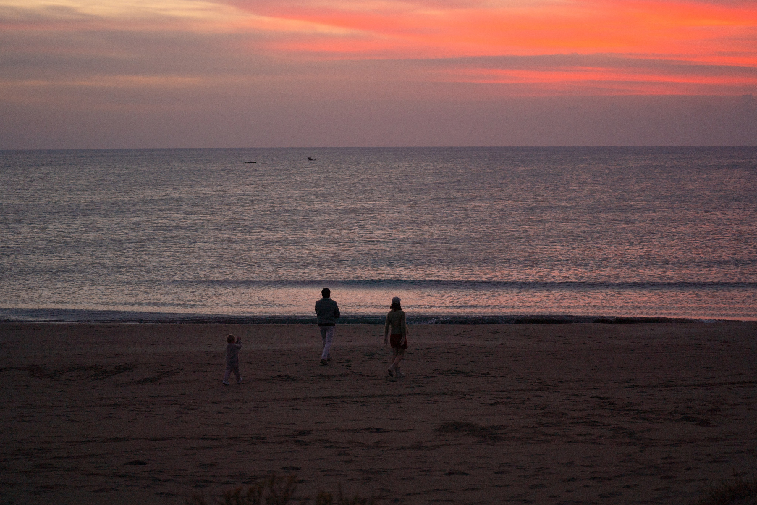 Family & Pregnancy. Maryna Avramenko Photographer