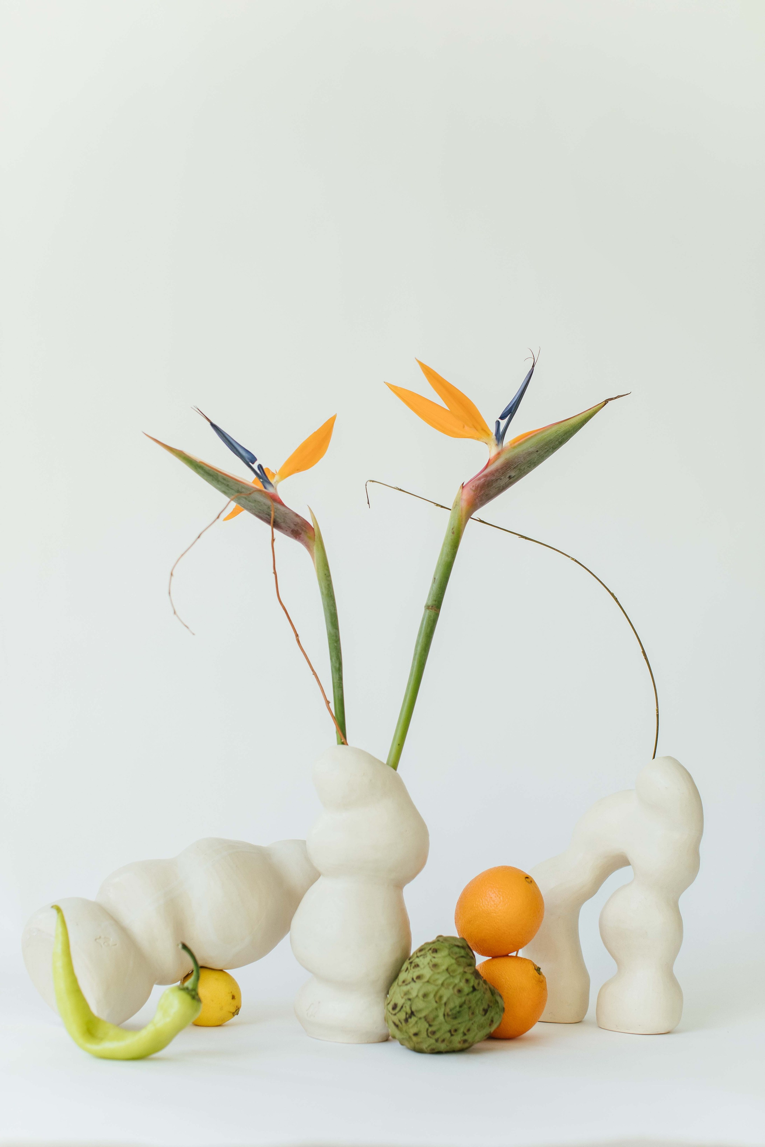 Objetos. Maria Kulakova — Fotógrafa en Santiago | Fotografía de producto, marcas y familias