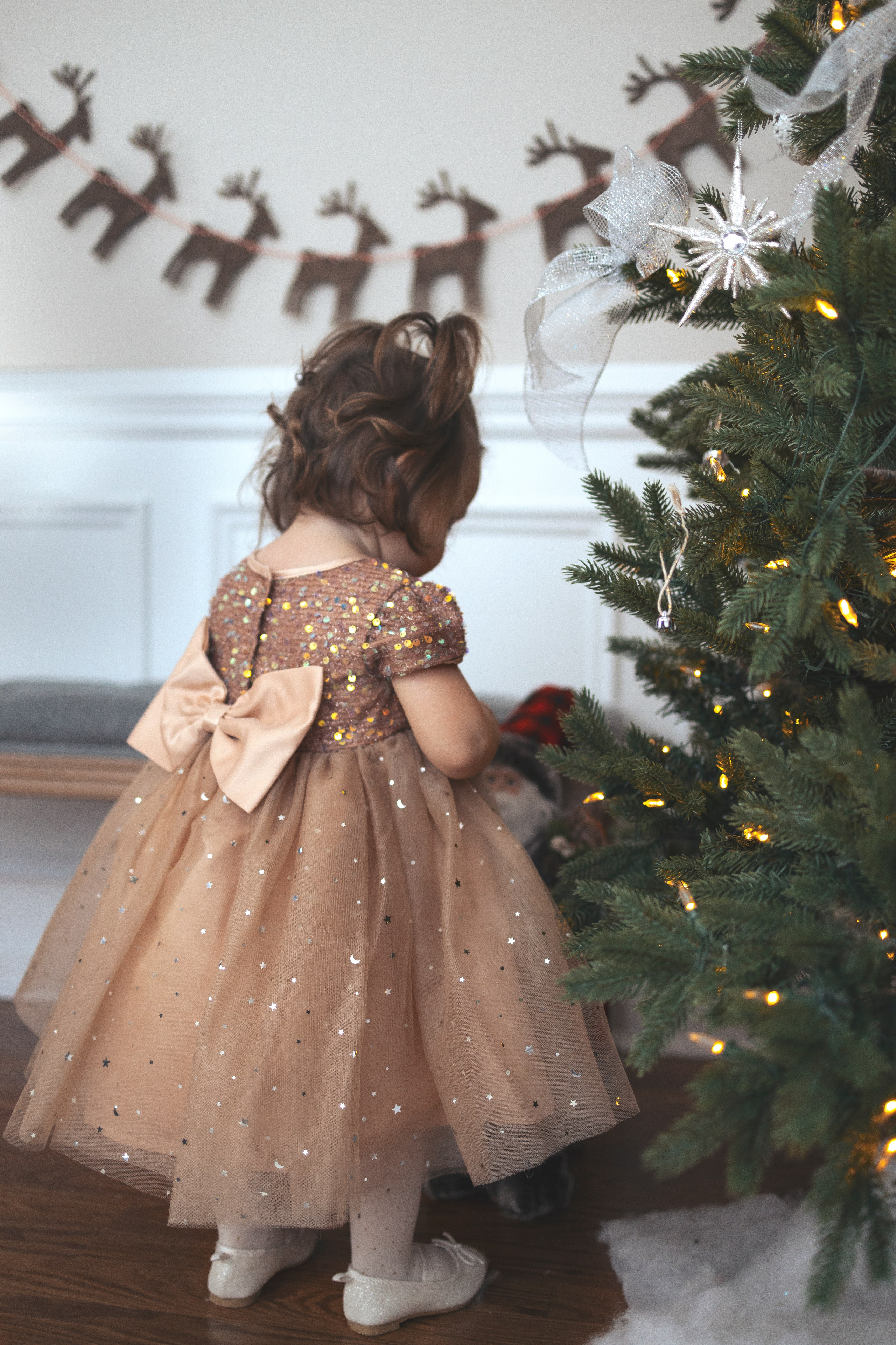 Christmas. Anaeliseevaphoto.com