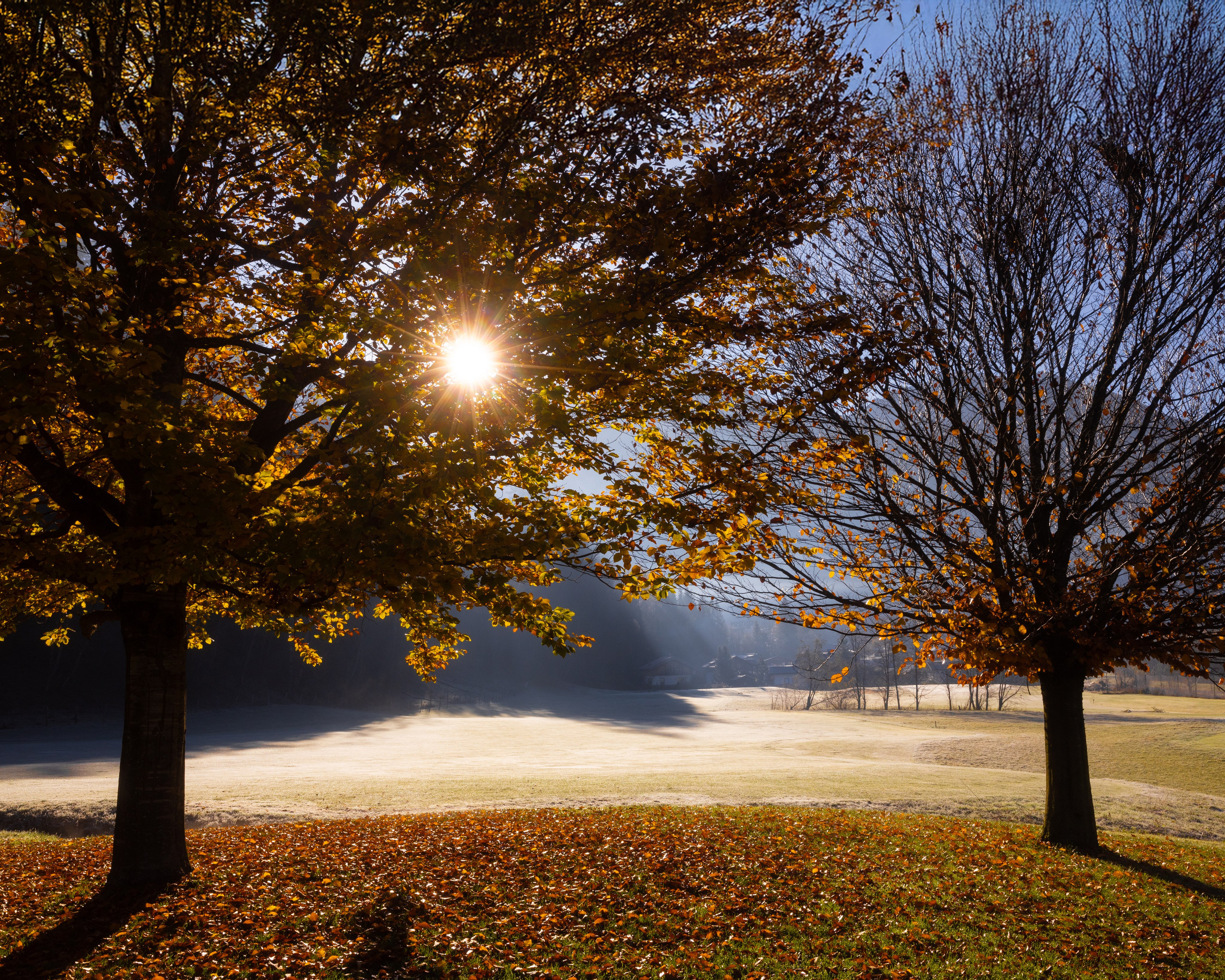 Bewunderung. Guzel Kolobova| Fotografin| Salzburg