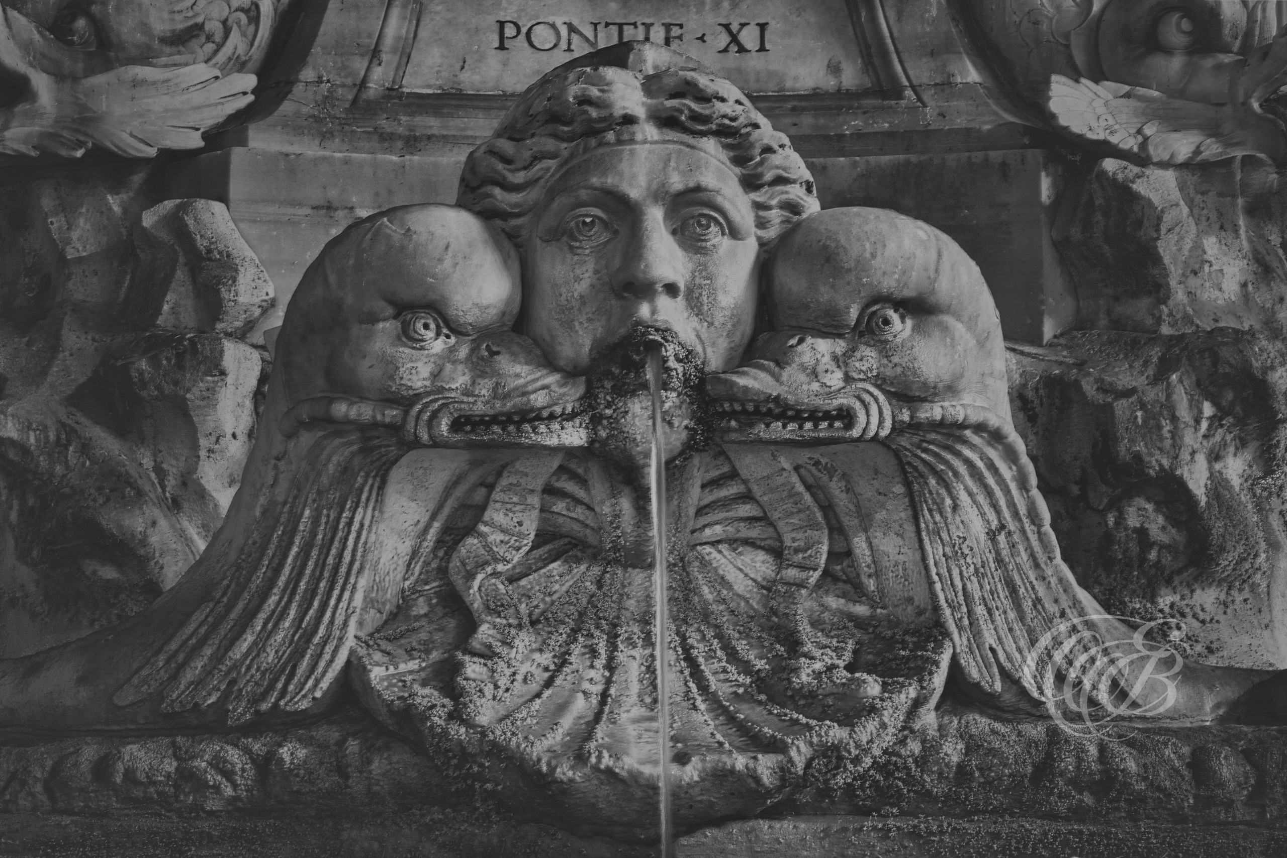 Rome Italy - Fontana del Pantheon - Eduardo Bartoli Fine Art Photography - Detail of sculpture from Fontana del Pantheon in Rome, Italy – fine art photography by Eduardo Bartoli.