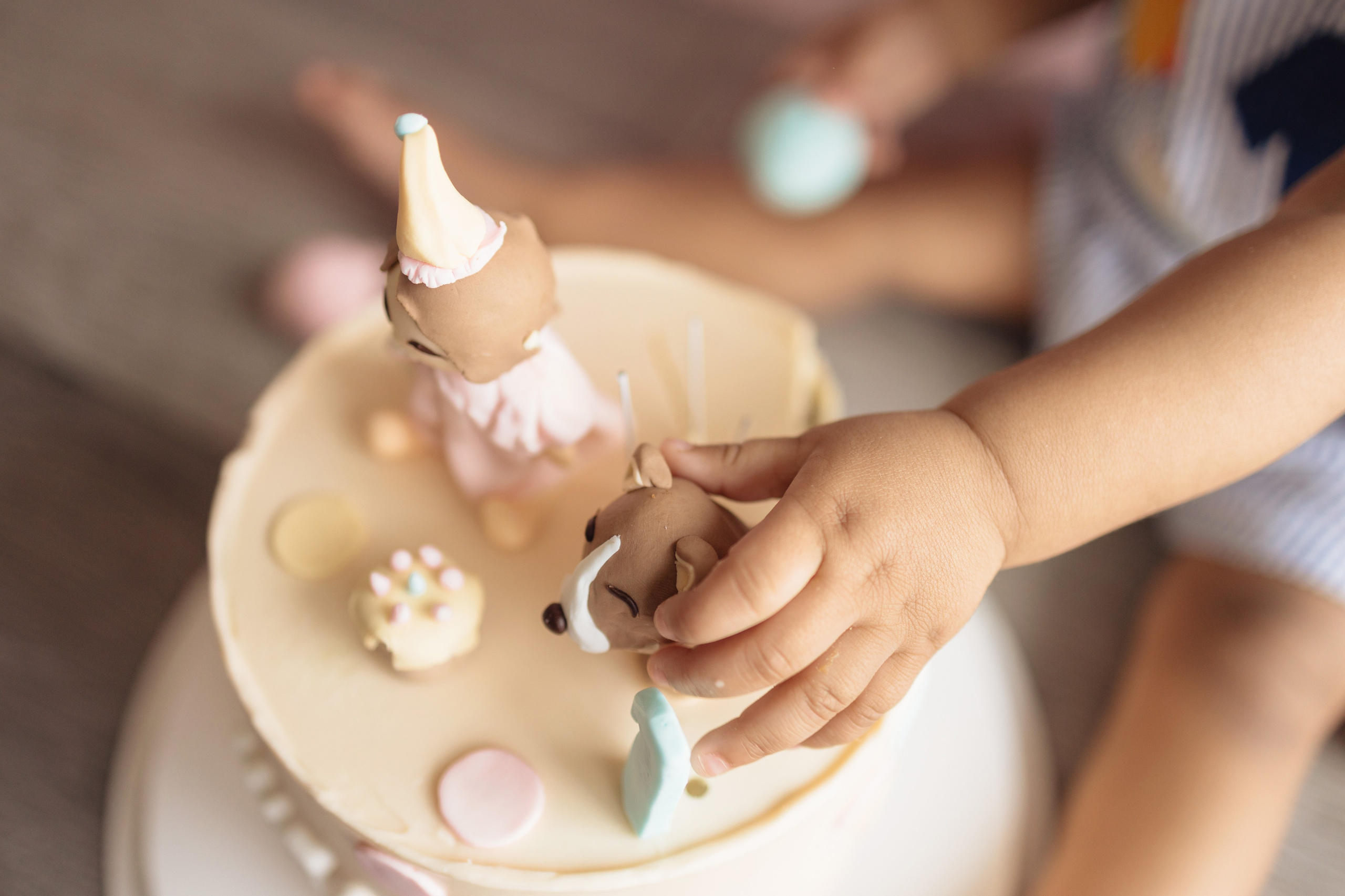 Portrait 1st Birthday. Family and Event photographer in Bay Area Elena Tiuriumina