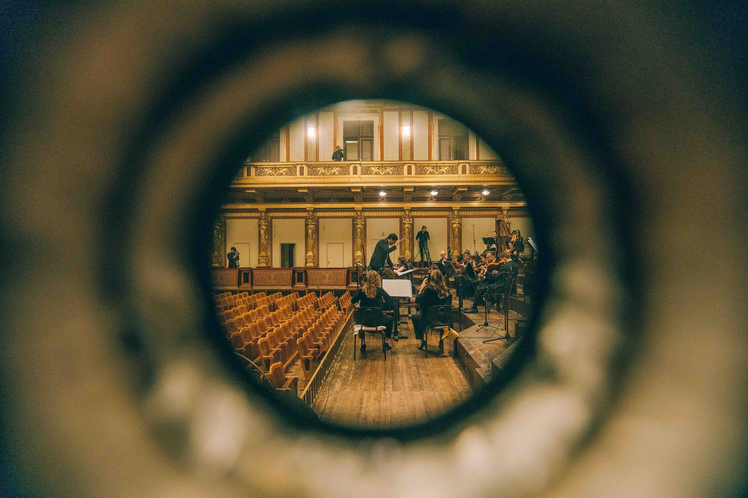 MUSIKVEREIN (VIENNA). Wedding&Event photographer Ismail Rzayev in Baku