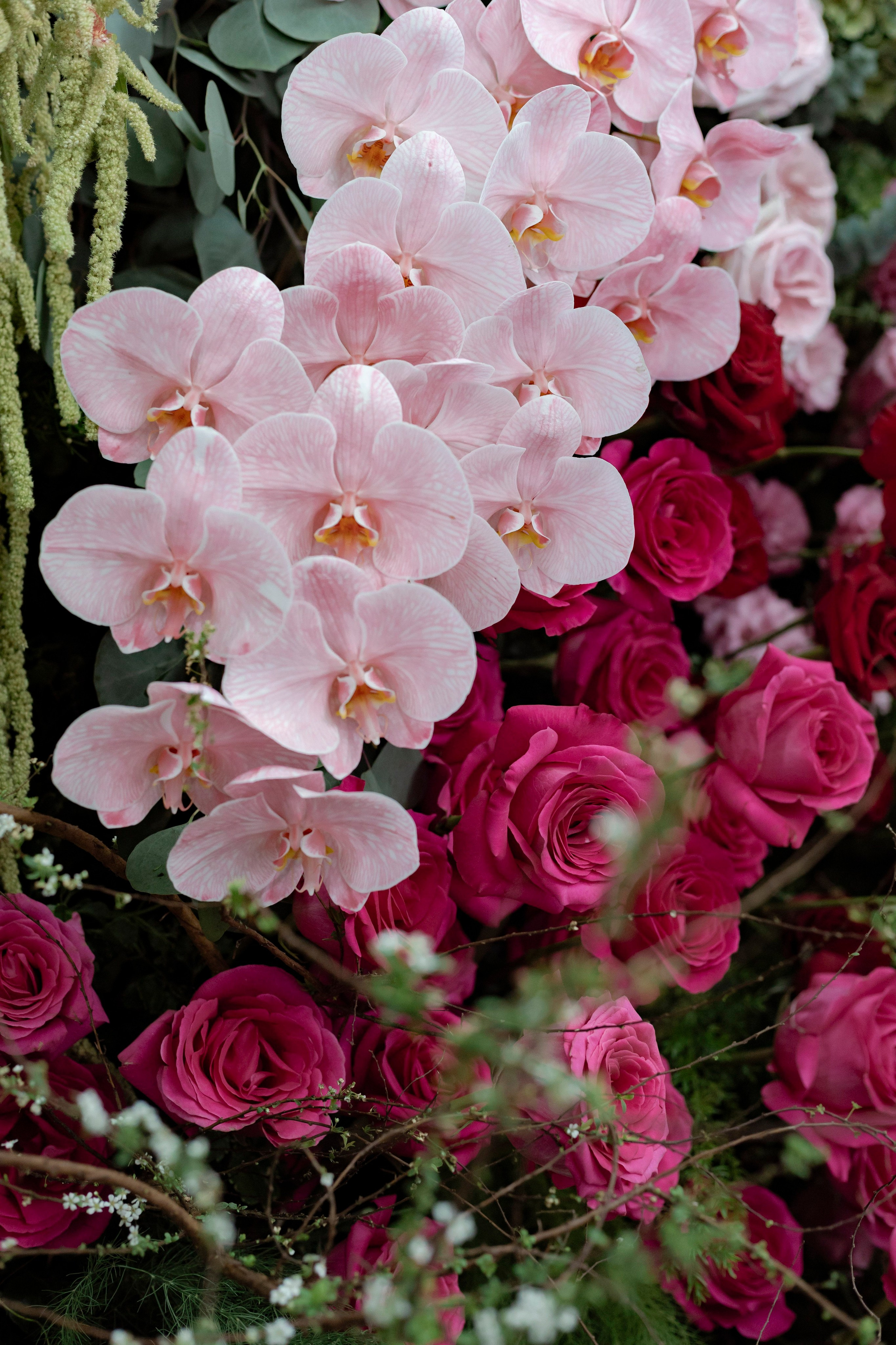 ANH & HA. WEDDING PHOTOGRAPHER IN VIETNAM