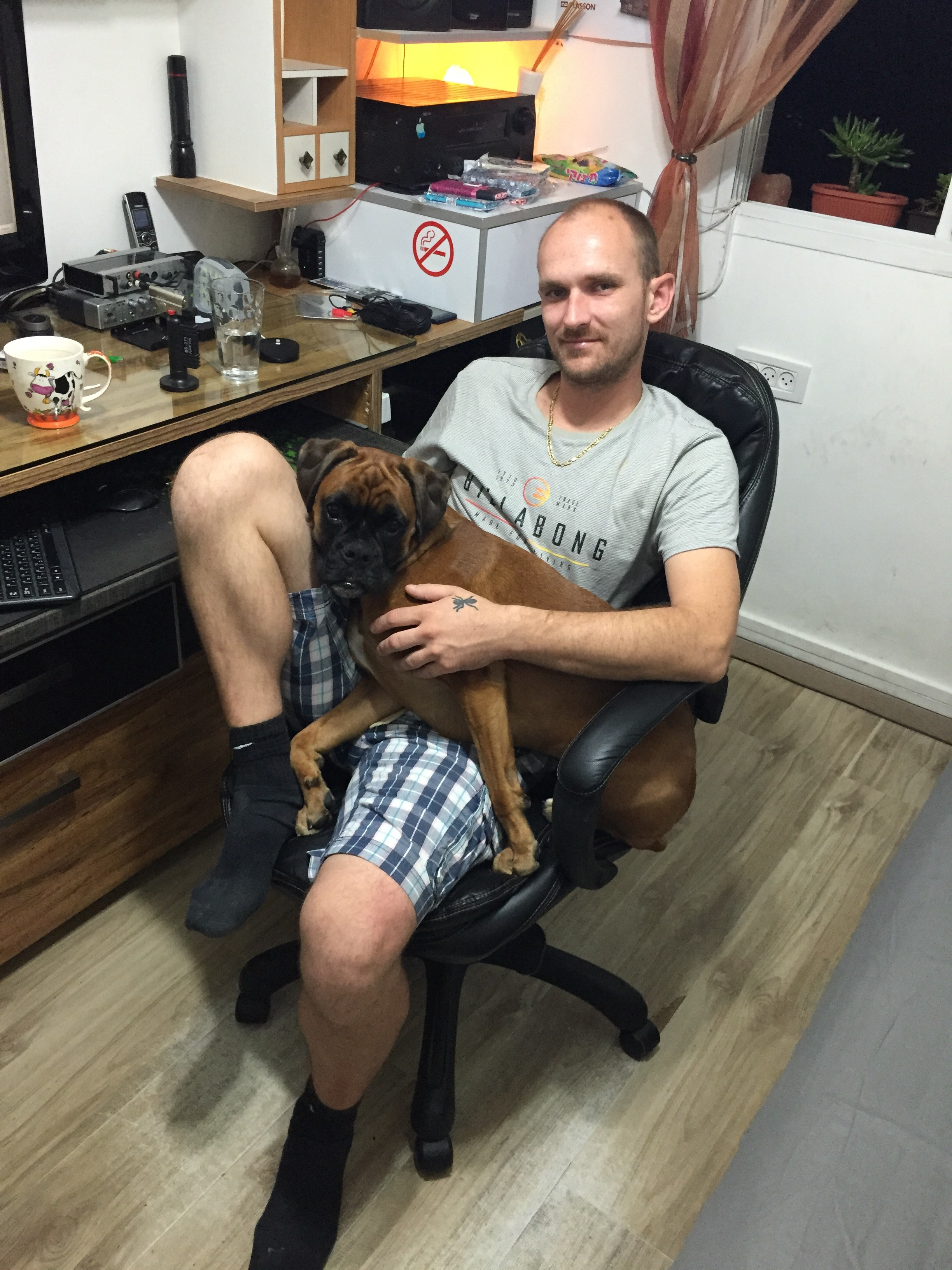 My ״Star״ Boxer Dog