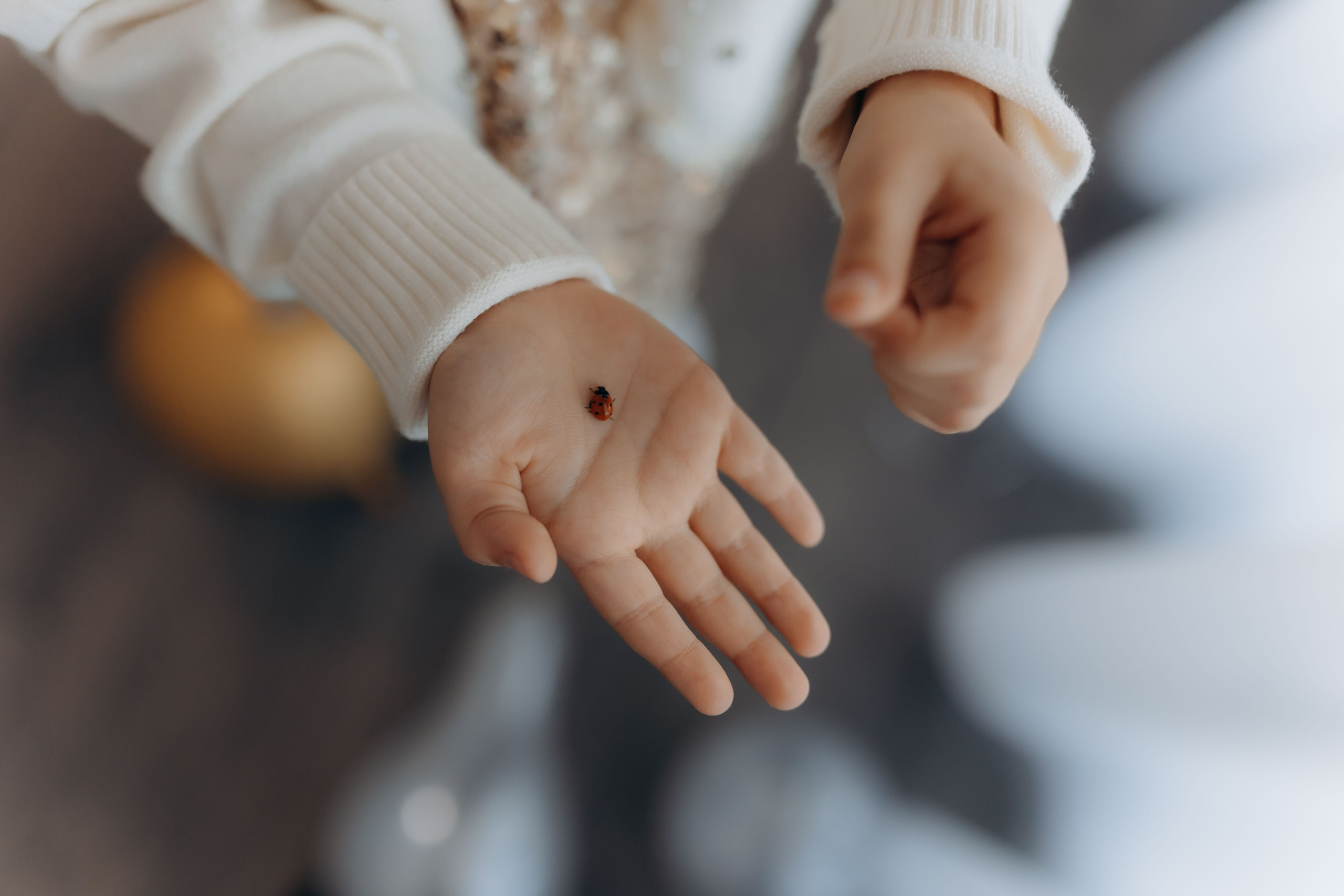 Povestea voastră, regizată de noi |Cristi Turculet Videograf Nuntă Suceava | wedding highlight. Servicii foto-video profesionale, pentru momente de neuitat