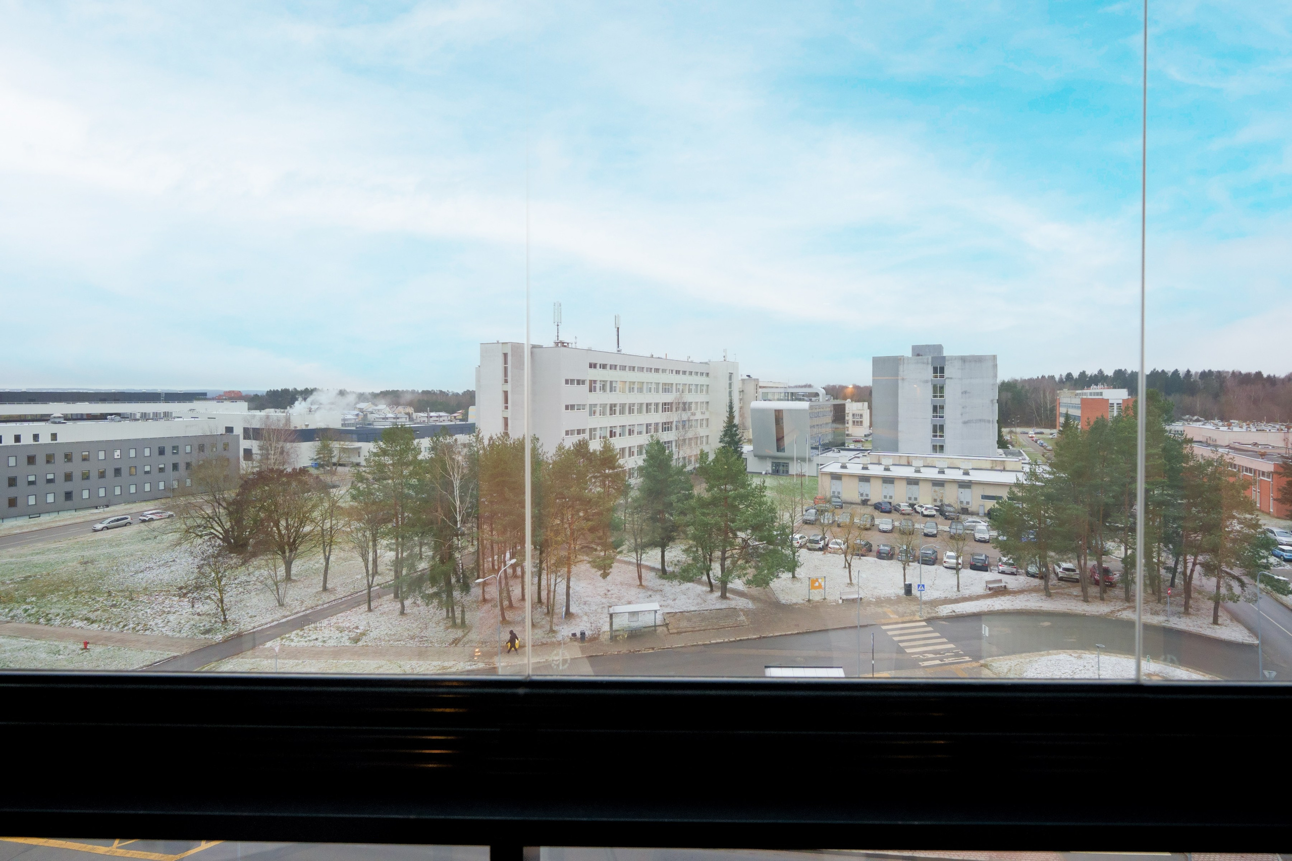 Bajorų kelias 1. Elina Sapiega fotografė Vilniuje