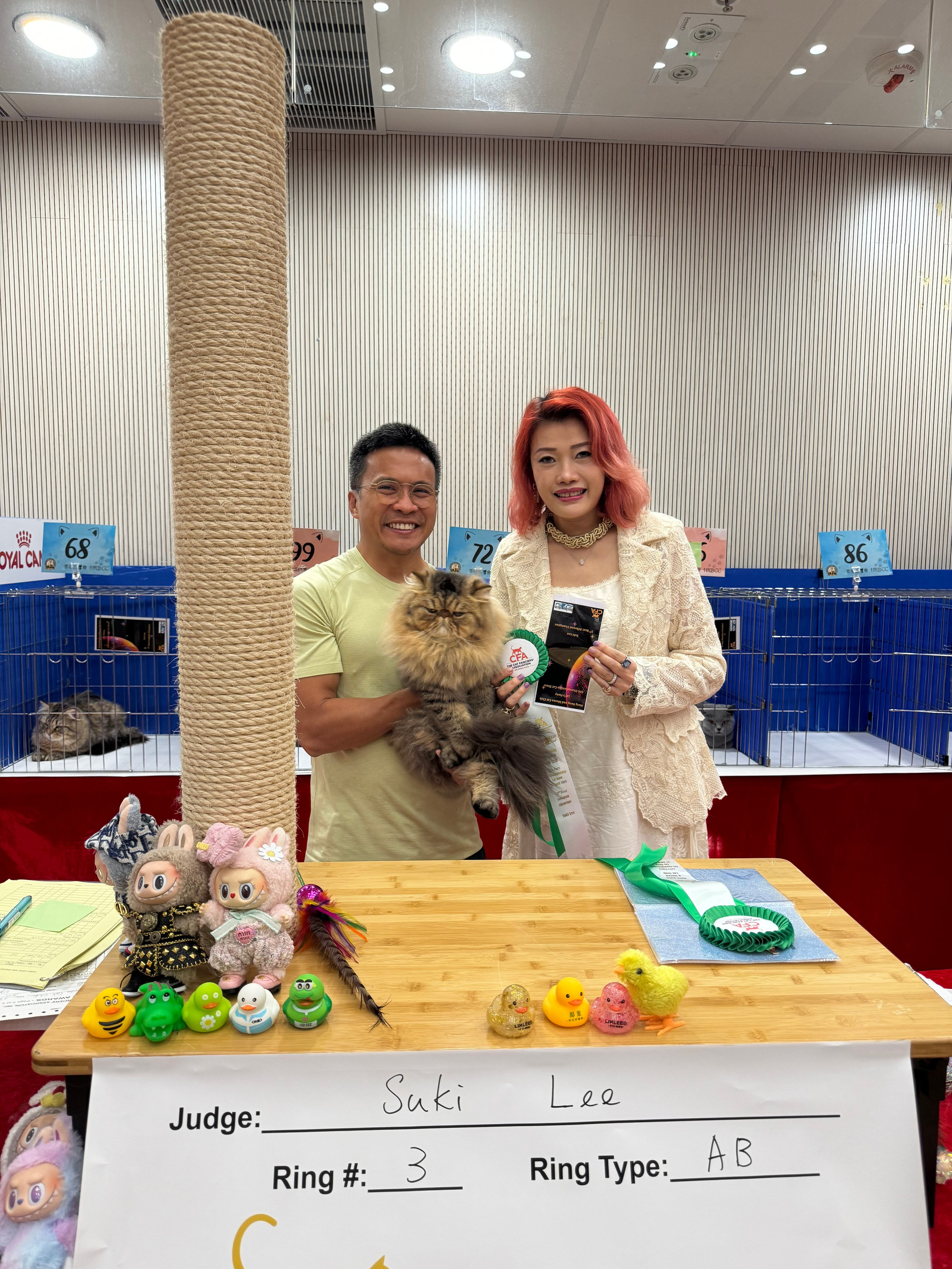 LEMON GREEN SIBERIANS BEAR