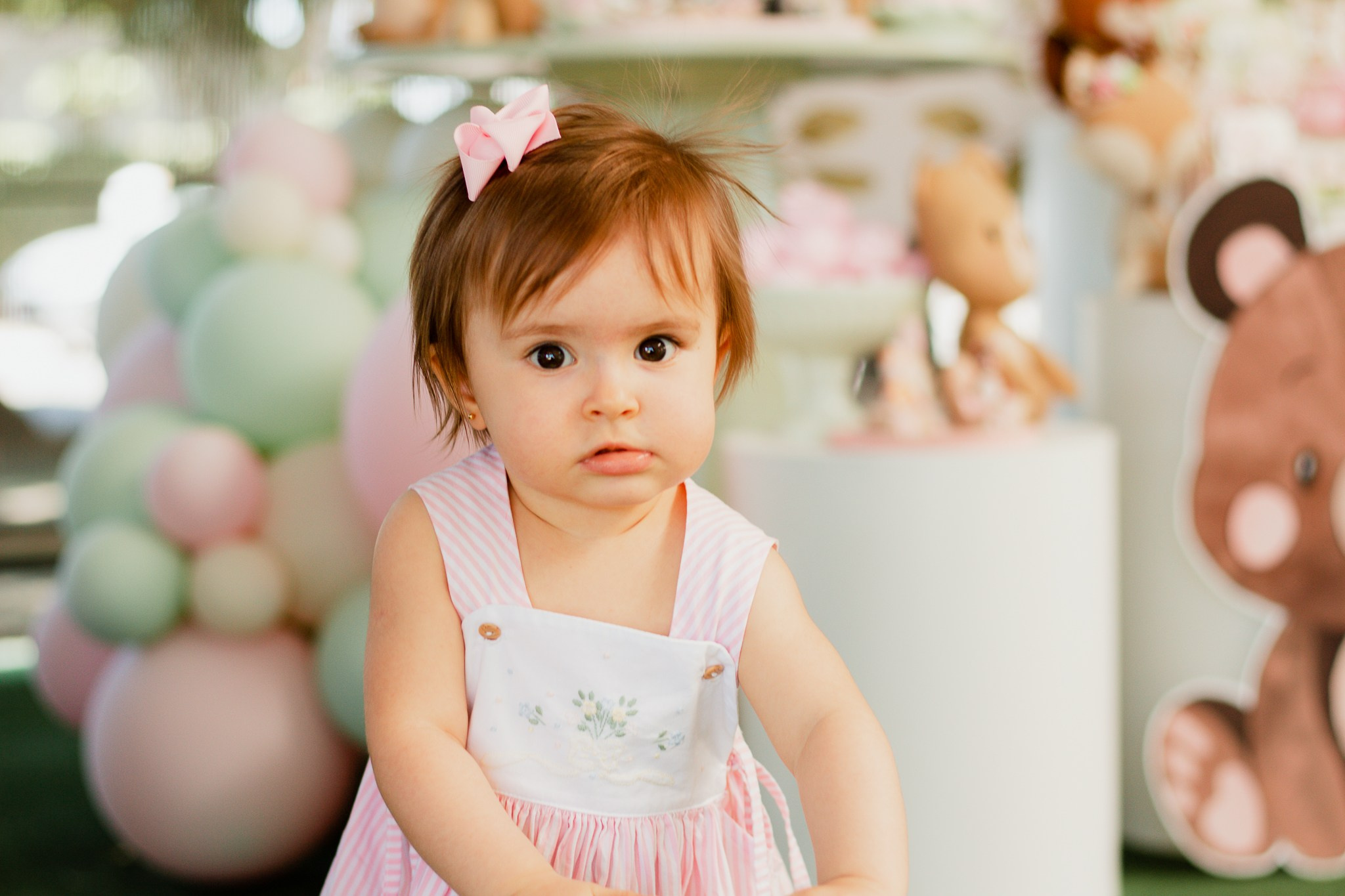 Joyce Maria Fotografia | Fotógrafa em Holambra