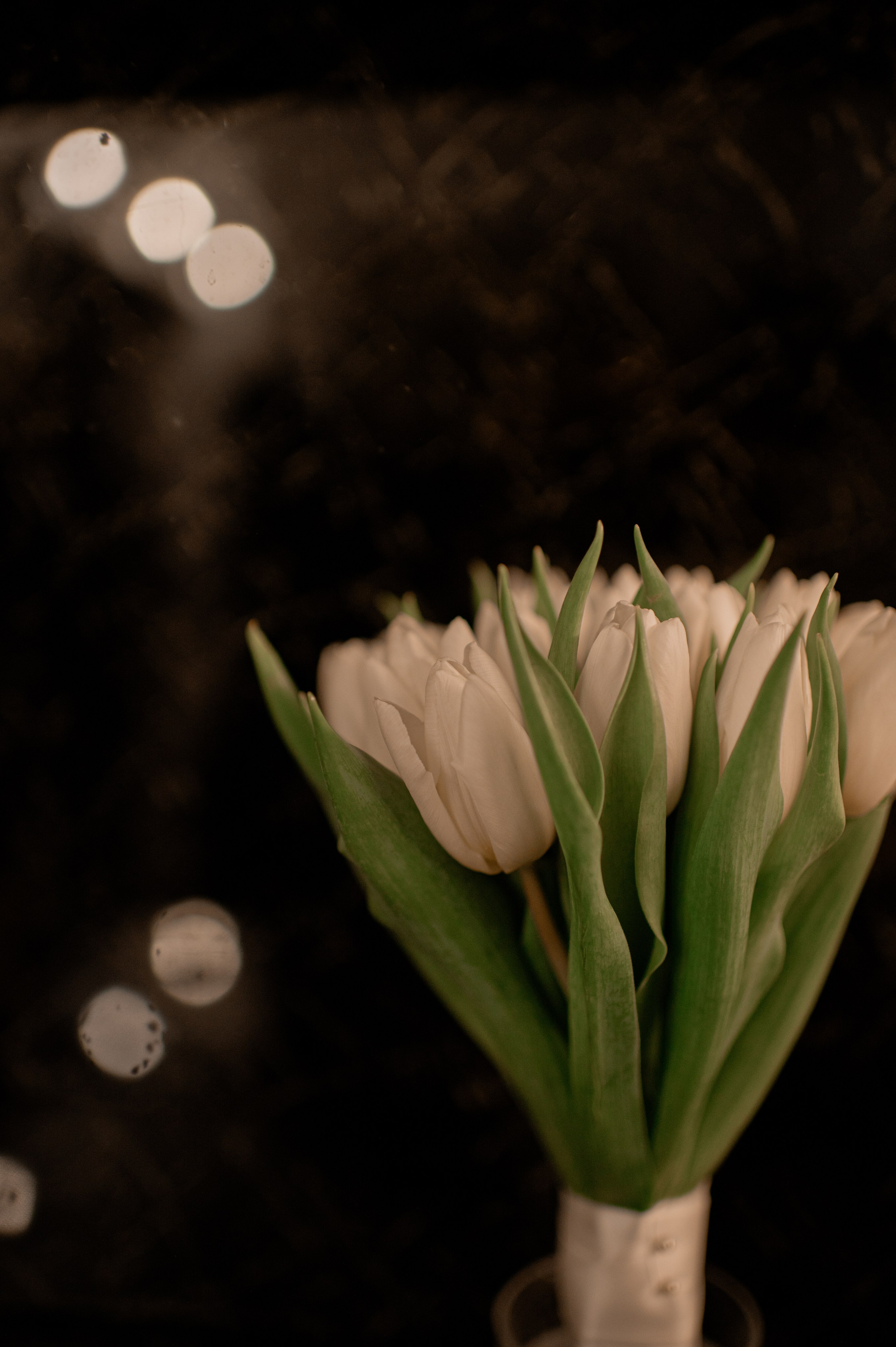 Wedding report. Family, children, portrait, and event photography in Thessaloniki