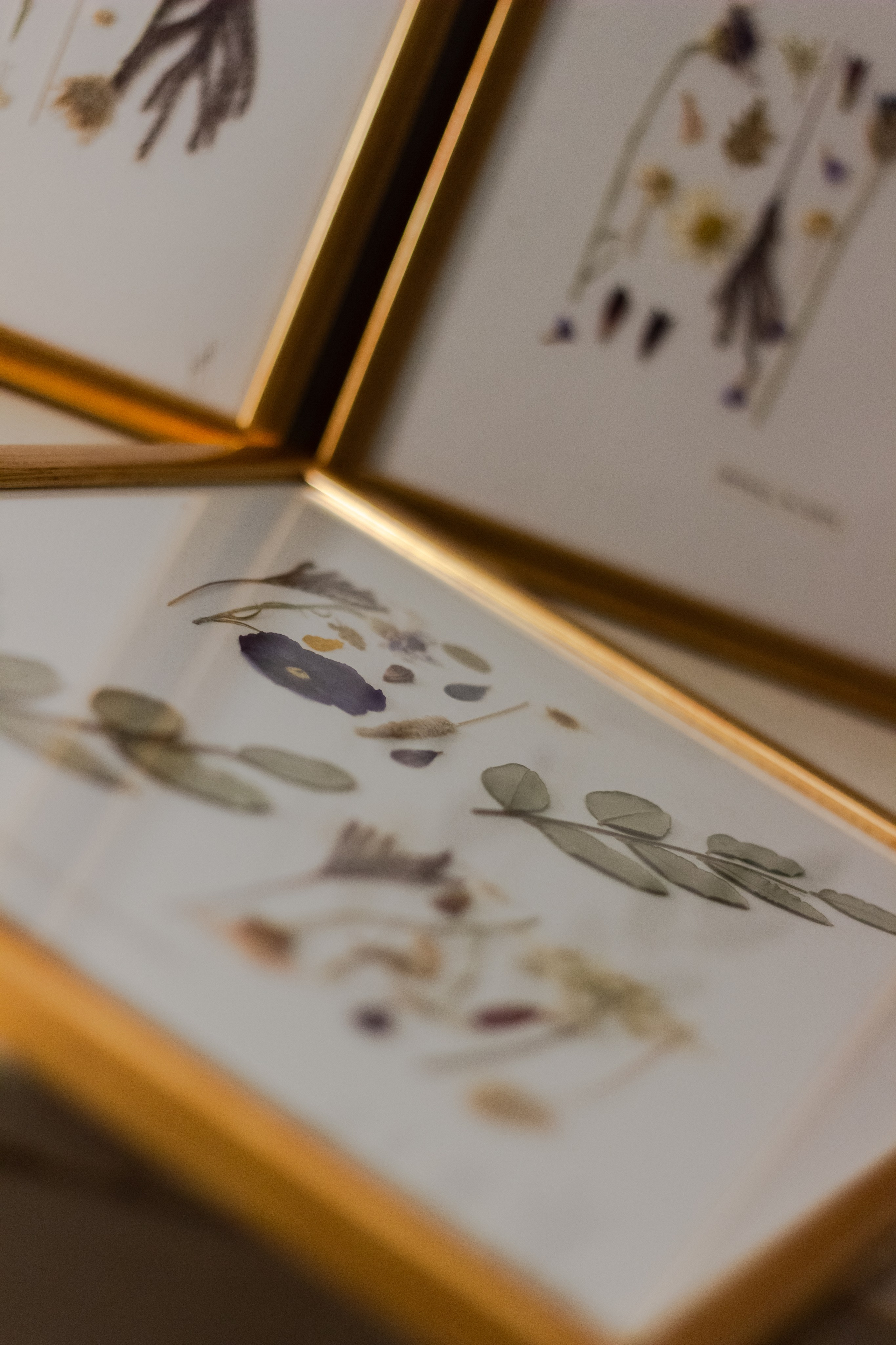 Portfolio. Herbarij studio