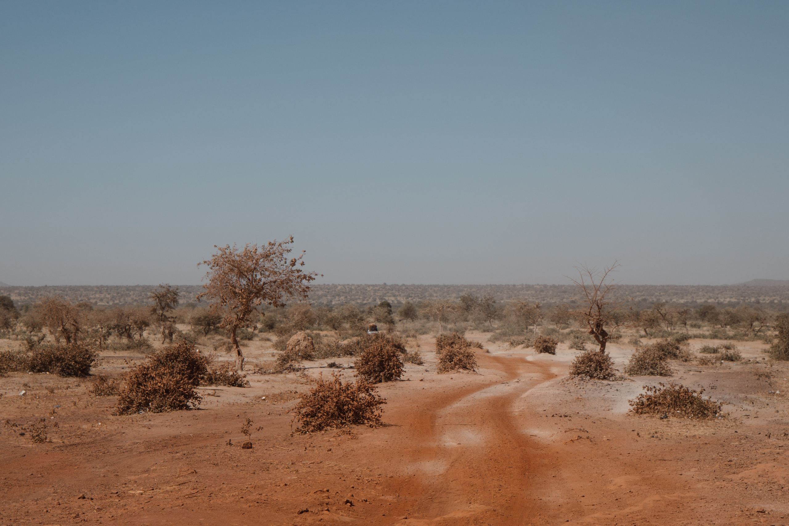 Chad / Darfur. Photo reporter français basé à Paris