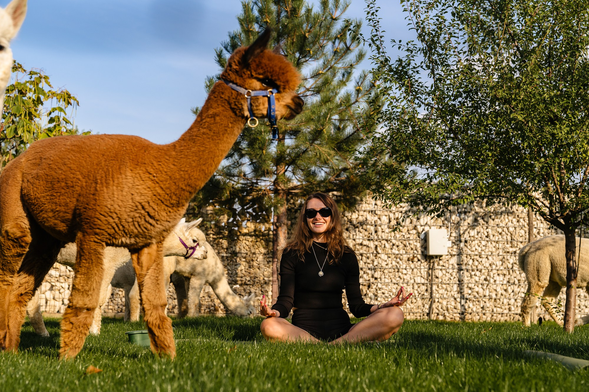 Openings & Brand Activation | Fotografie PR. Fotograf Corporate Business