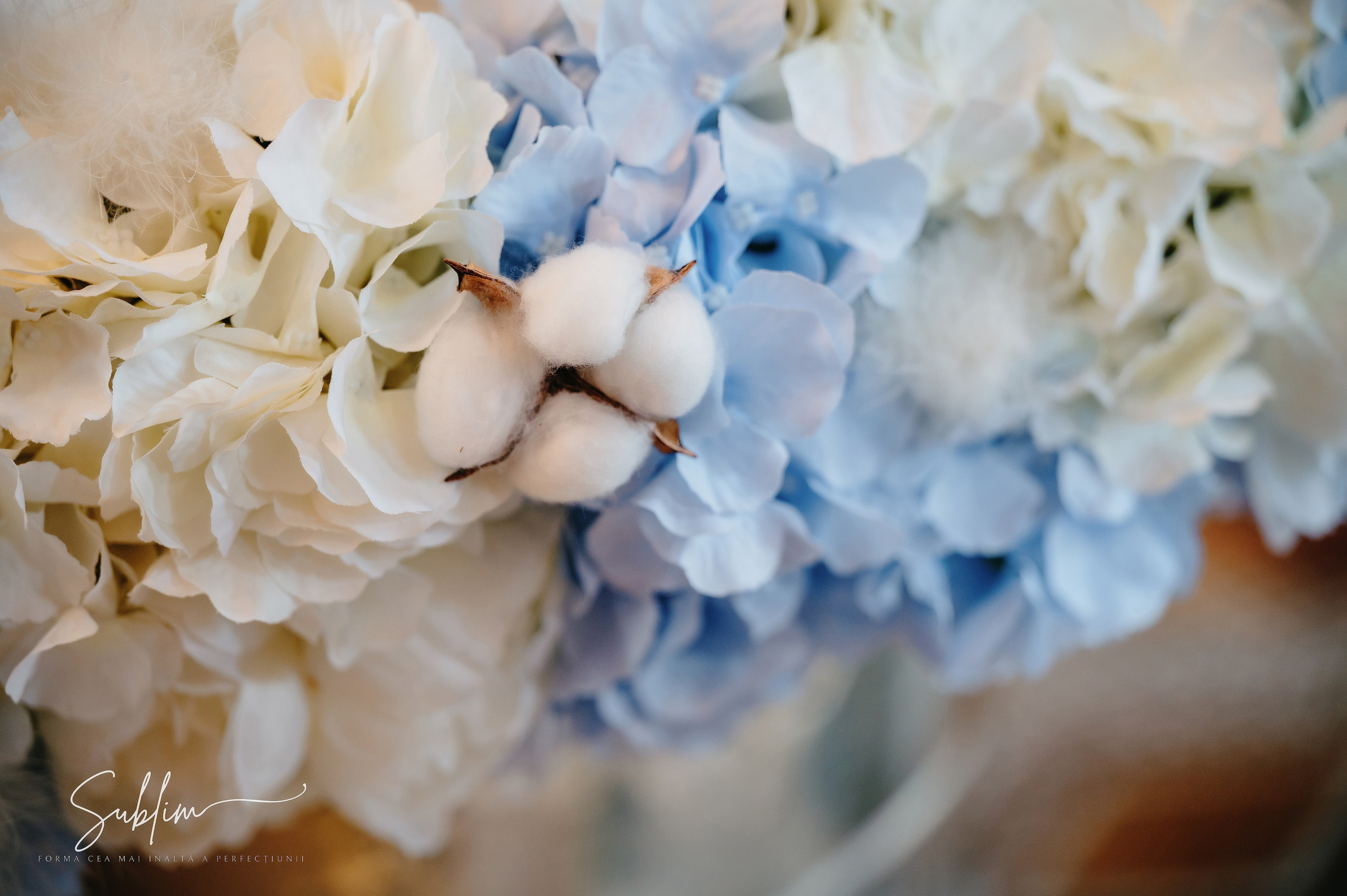 Sublim. Laurentiu Stefan StoryTeller