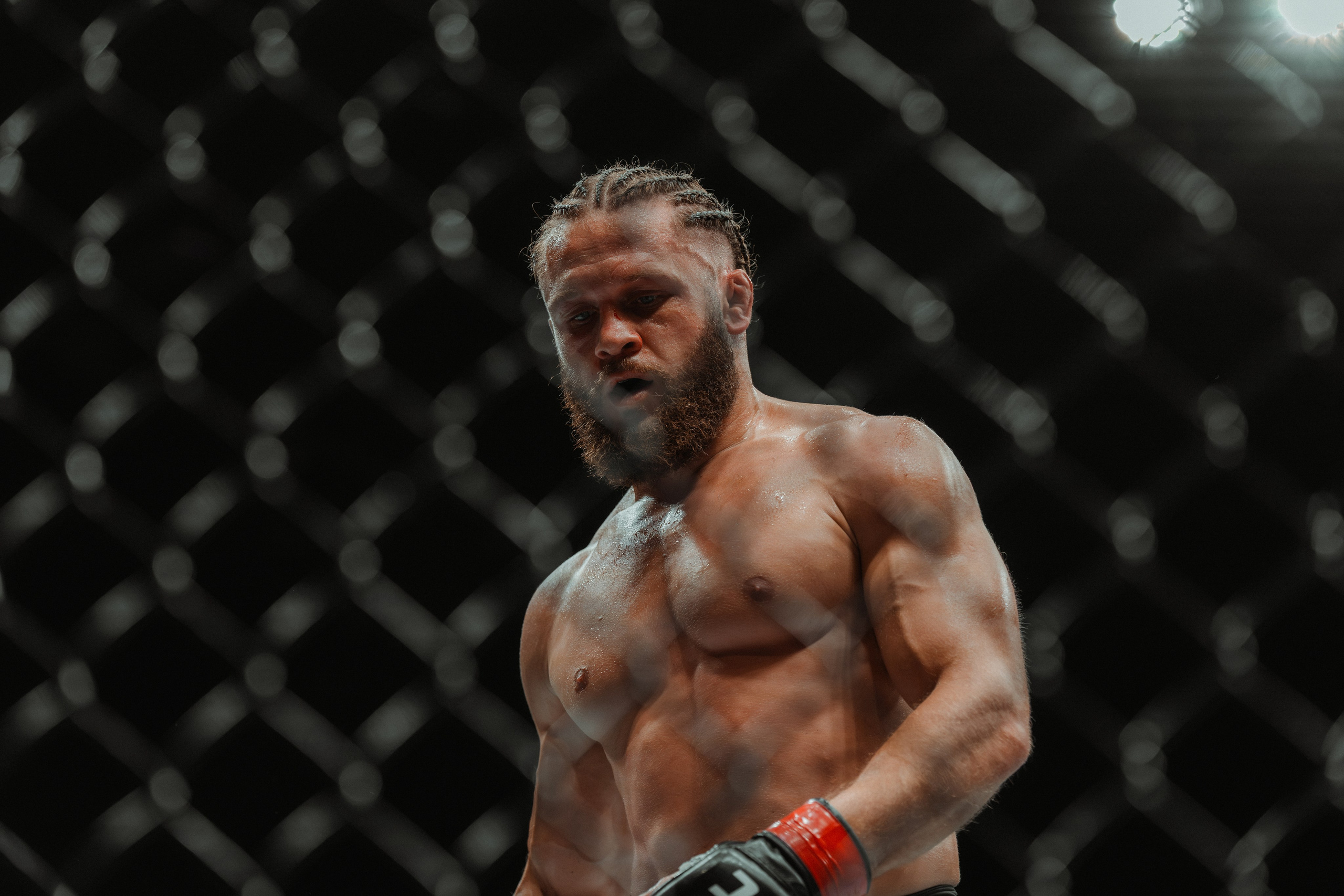 UFC. Commercial and Event photographer Eltaj