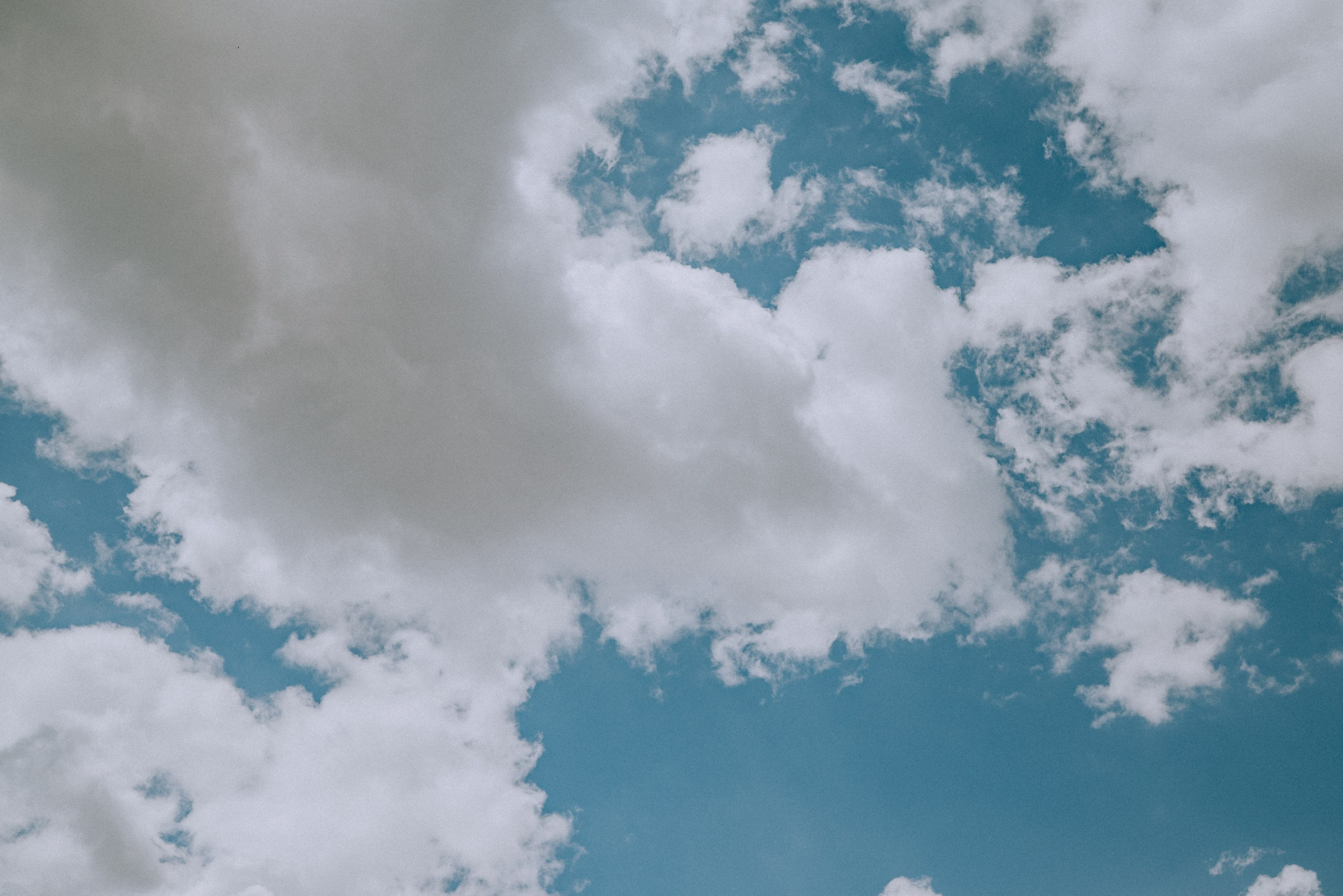 M.G.E. Семейный фотограф. Сербия. Нови-Сад. Белград