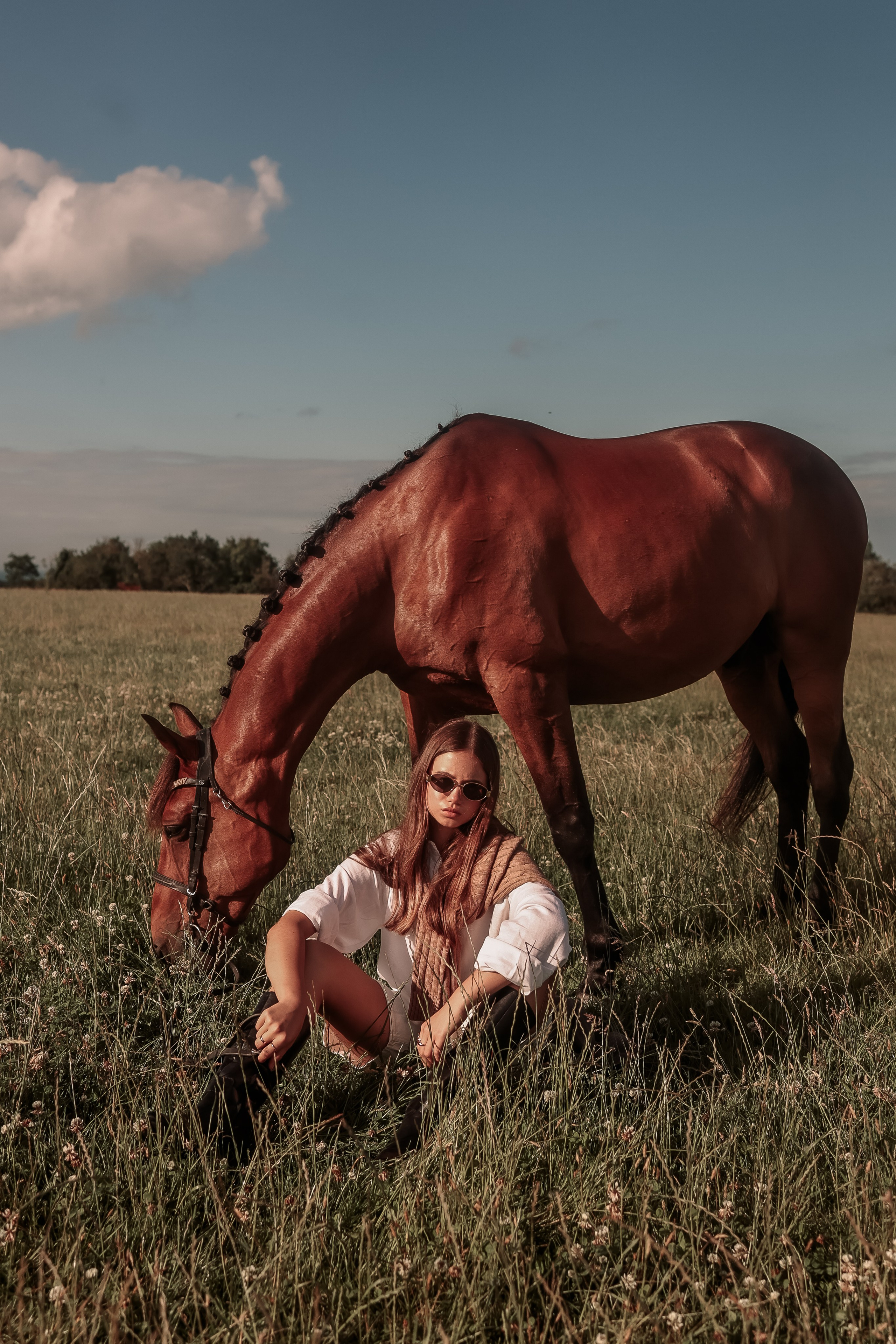 Among the Horses. Photographer Co Dublin, Balbriggan — Agata Maliseva