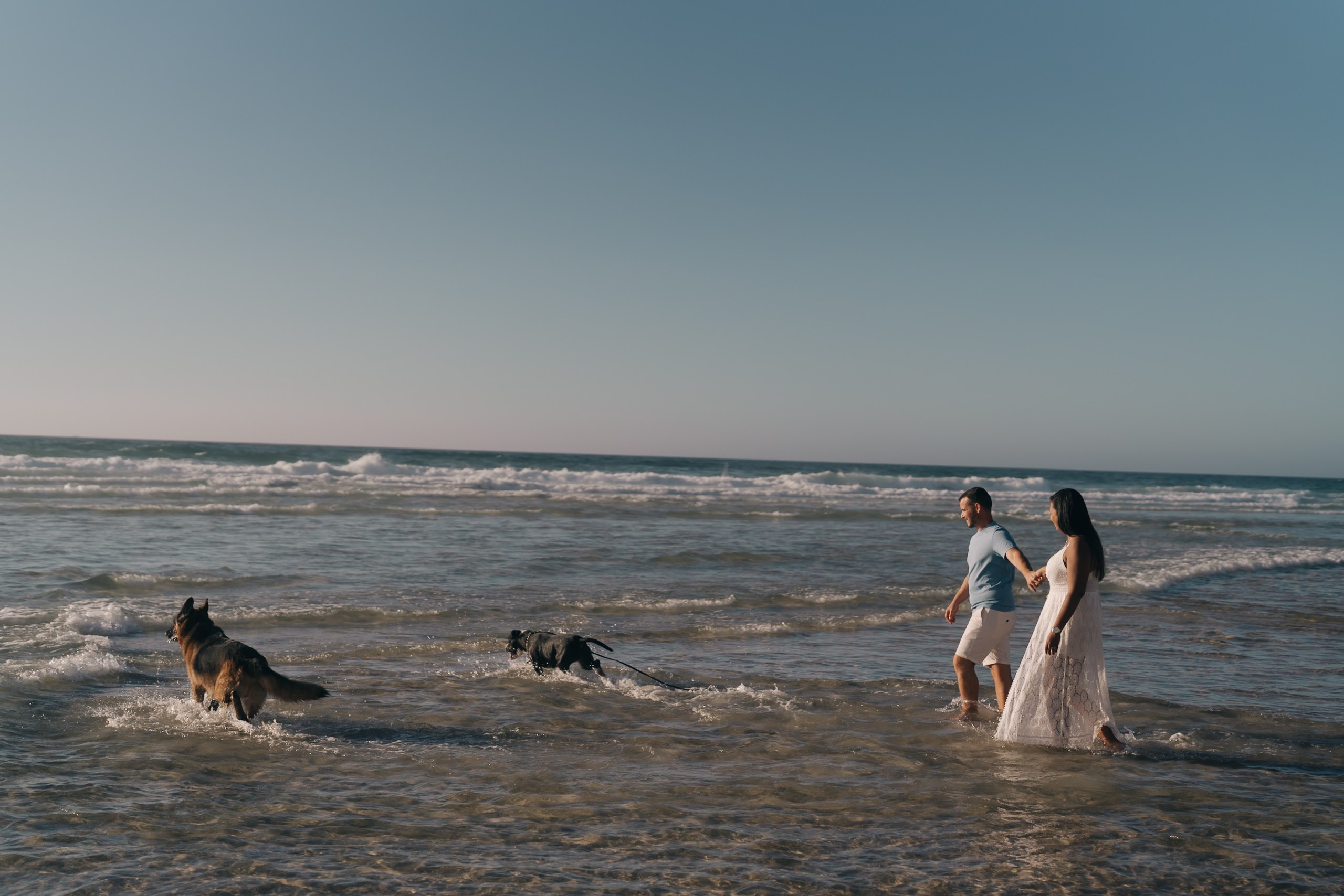 Aline e Eduardo. Fabio Barth | Foto e Filme de casamento
