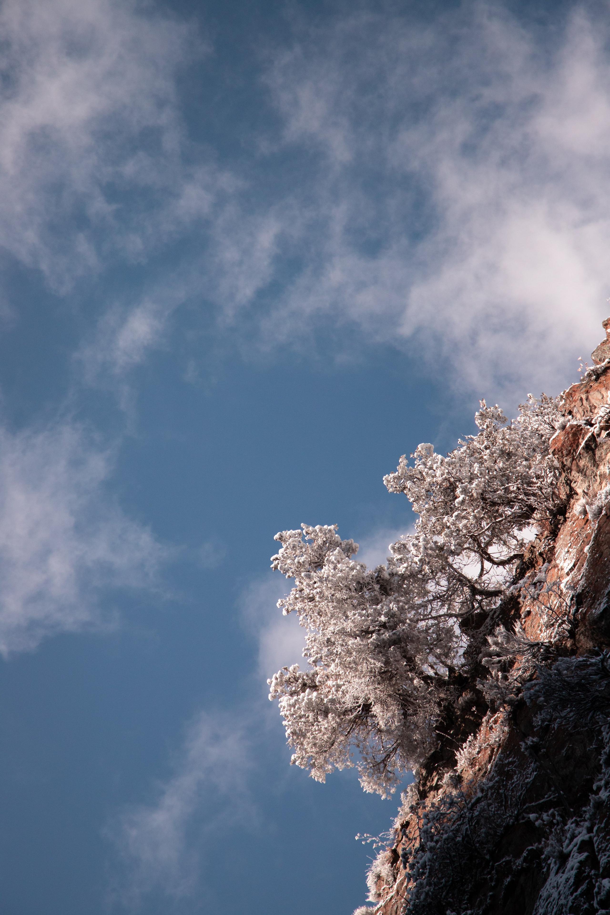 Nature. The Photographer