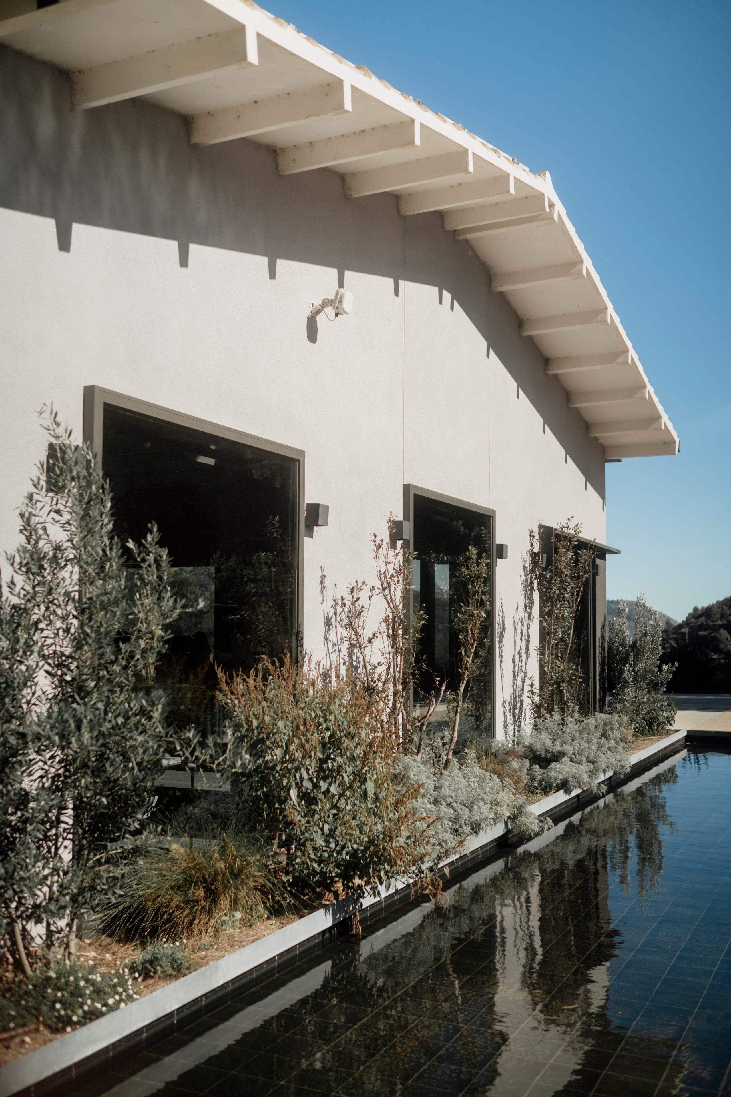 Dasha & Ister. Vivood Landscape. Paola fotógrafo / videografo de bodas en Barcelona