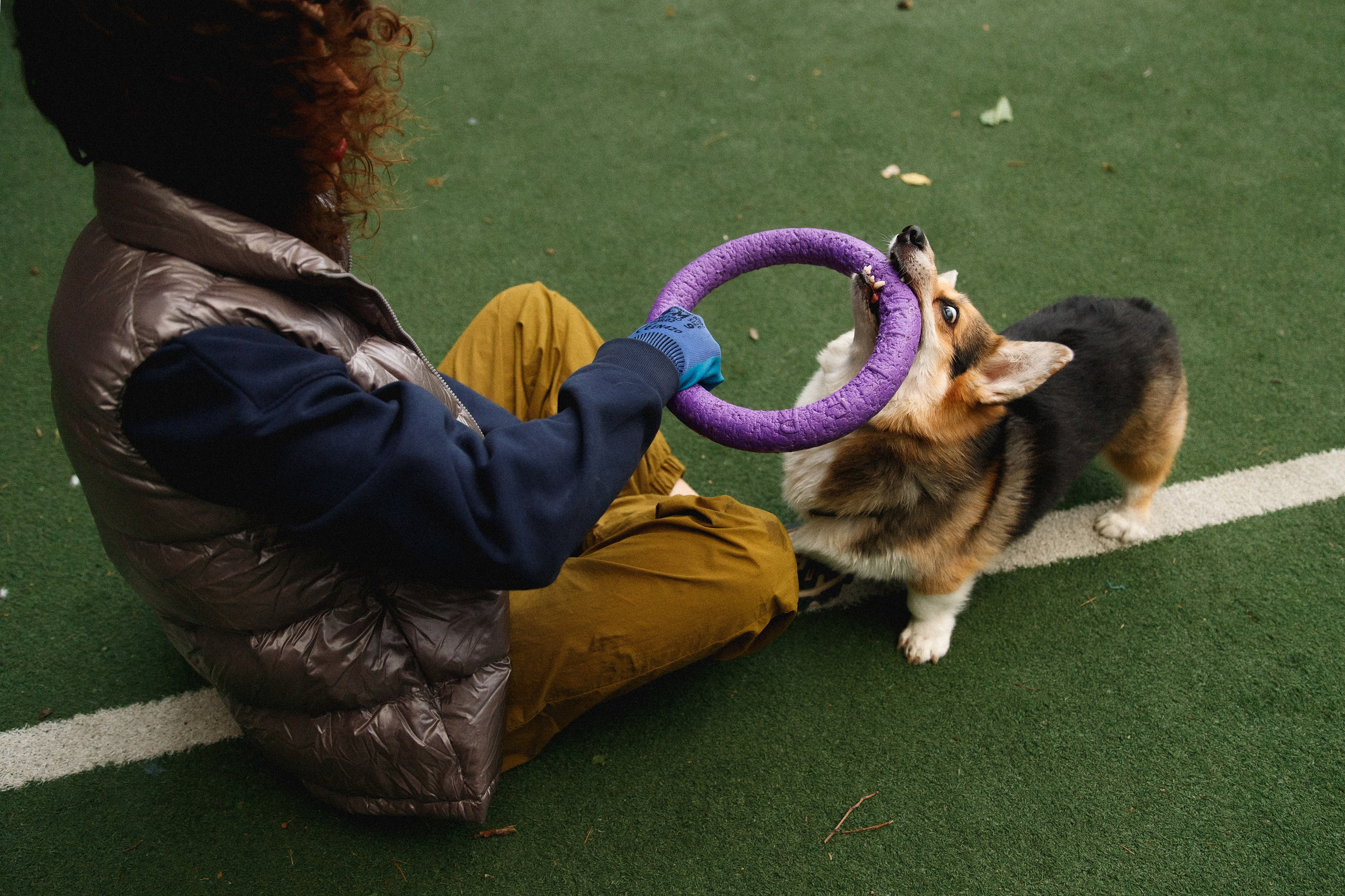 Sasha & Leonid. Kaja | fotograf psów we Wrocławiu