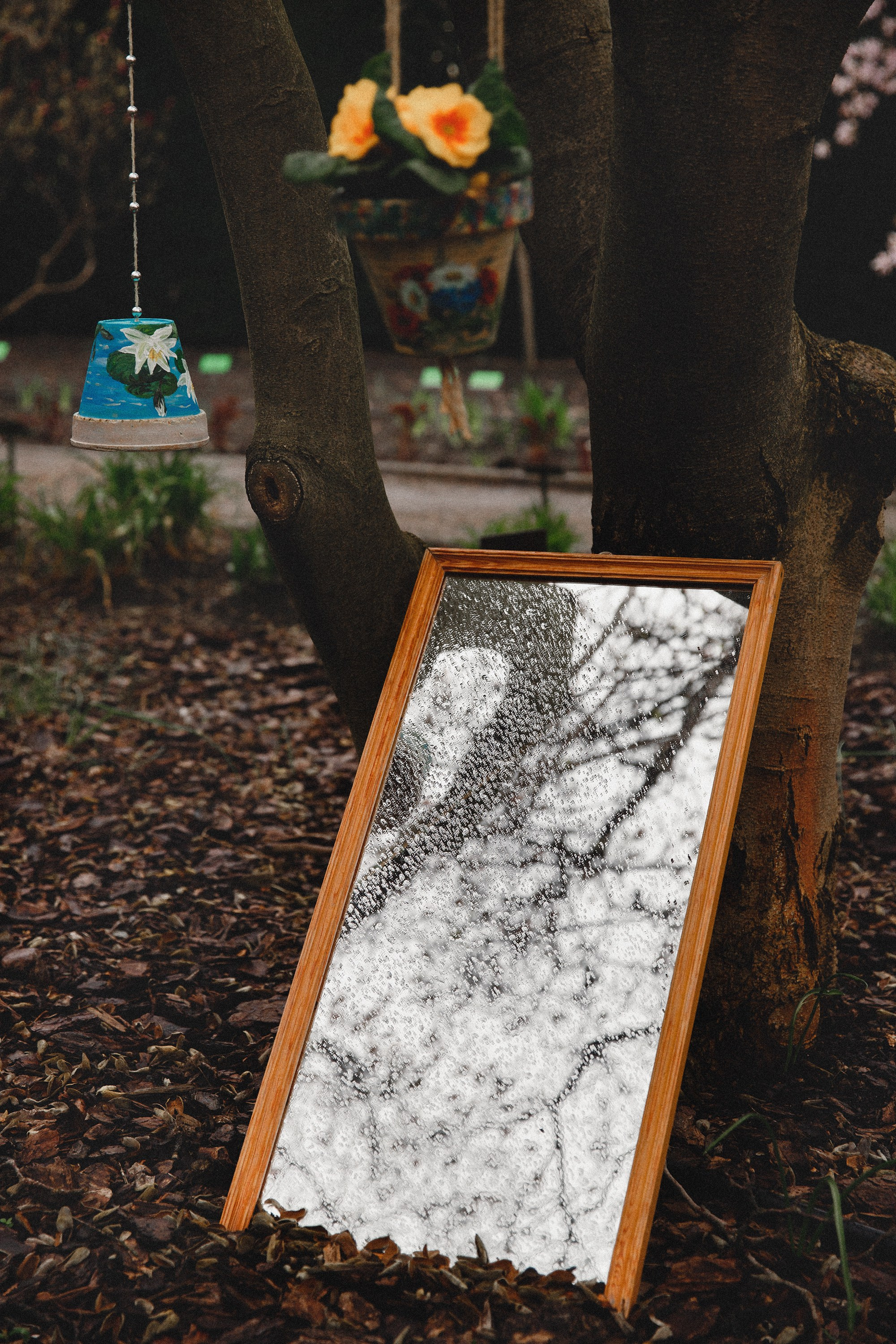 Botanical garden in Wroclaw. Kaja | fotograf we Wrocławiu | ludzie i psy