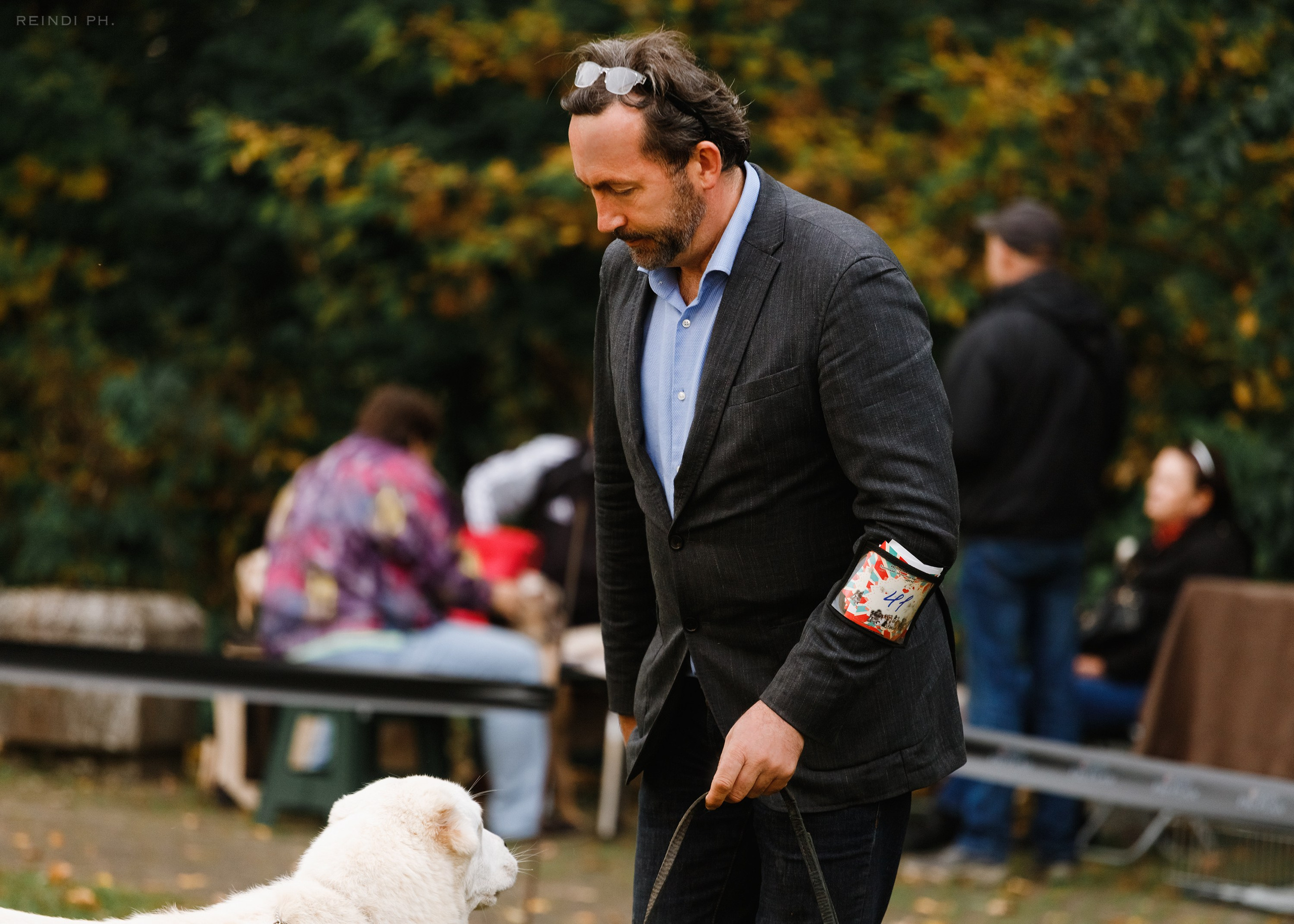 «Argus» dog show in Brest. Kaja | fotograf we Wrocławiu | ludzie i psy