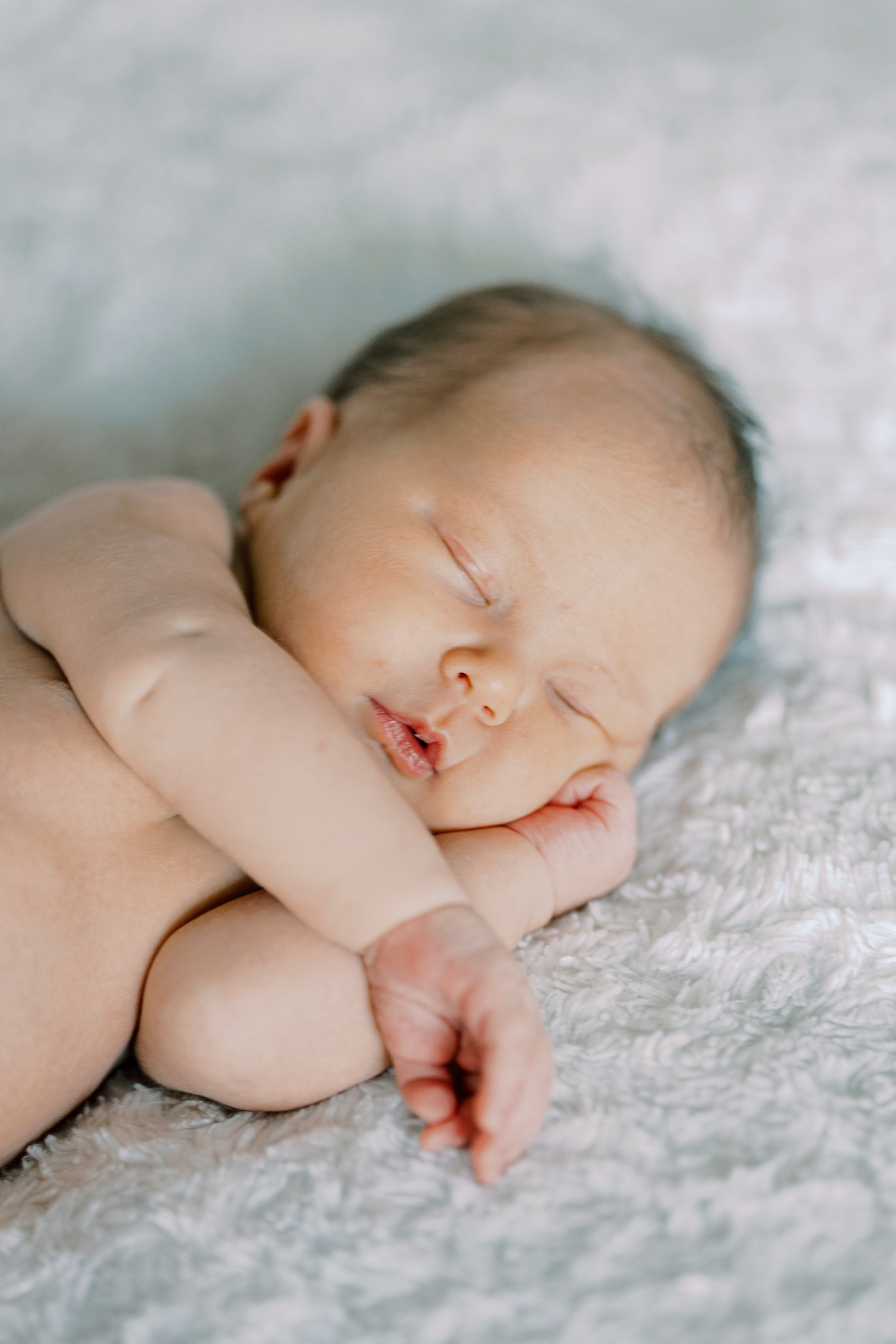 Families. Camilla Bloom