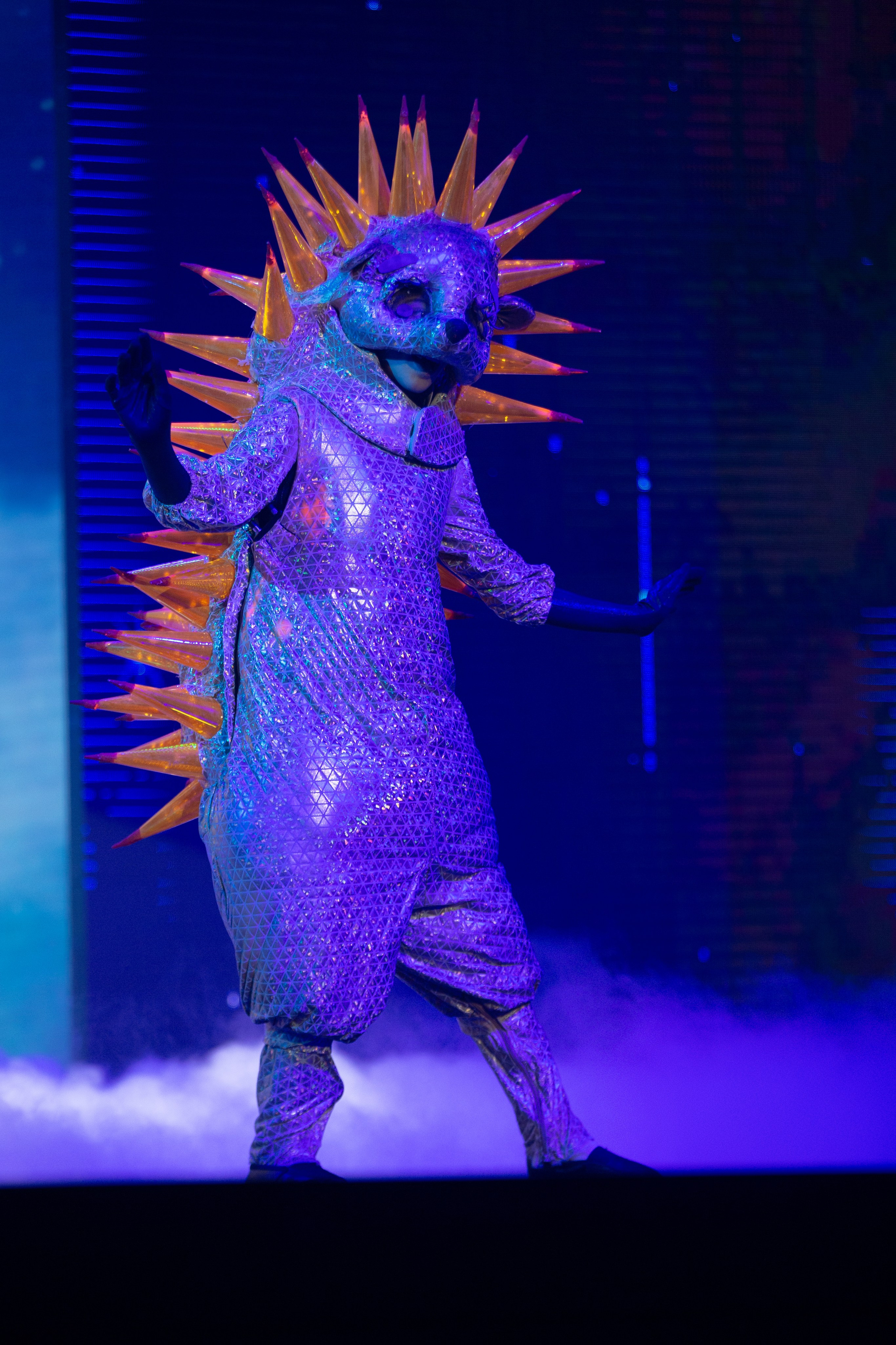 CIRTDAN SHOW. Wedding&Event photographer Ismail Rzayev in Baku