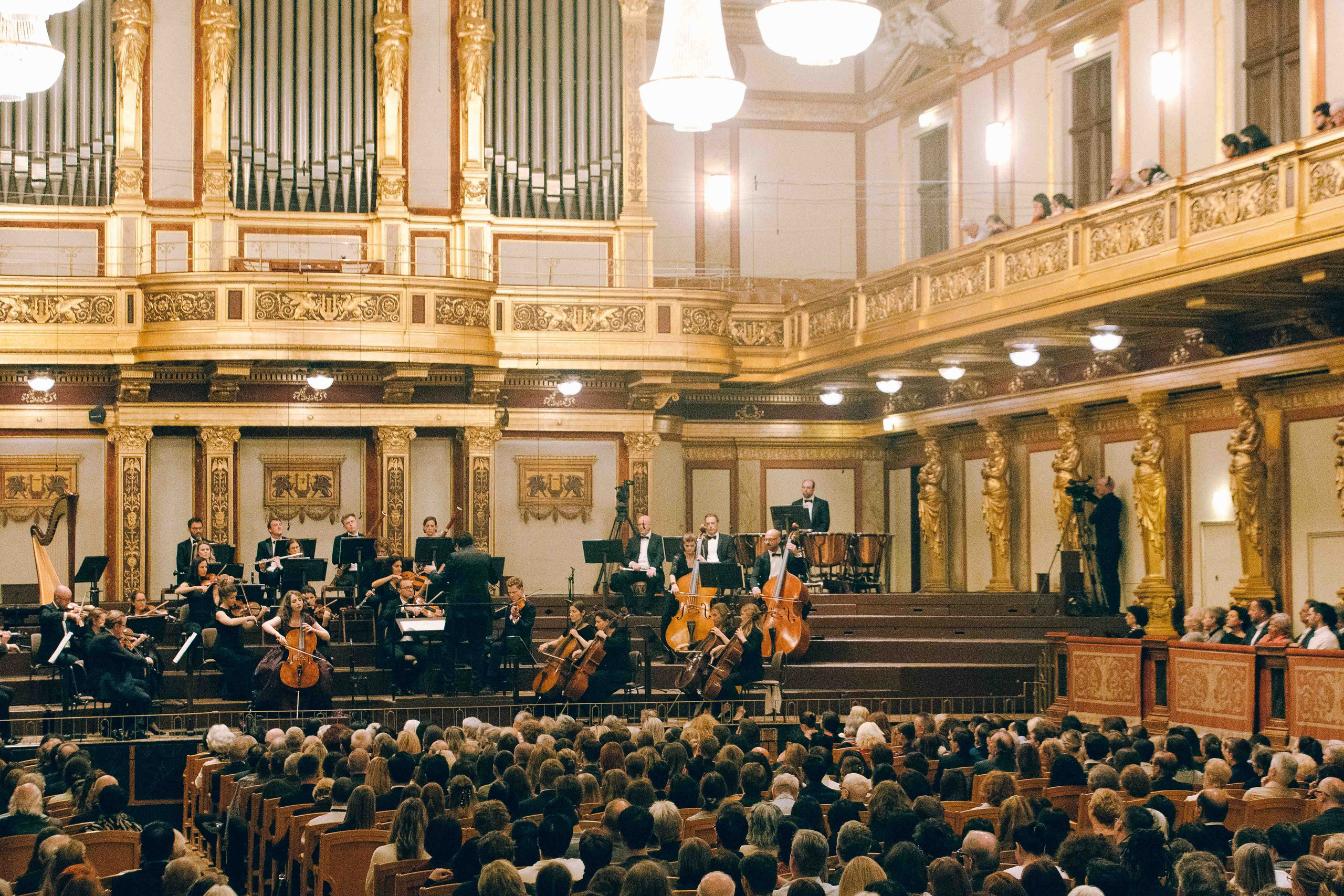 MUSIKVEREIN (VIENNA). Wedding&Event photographer Ismail Rzayev in Baku