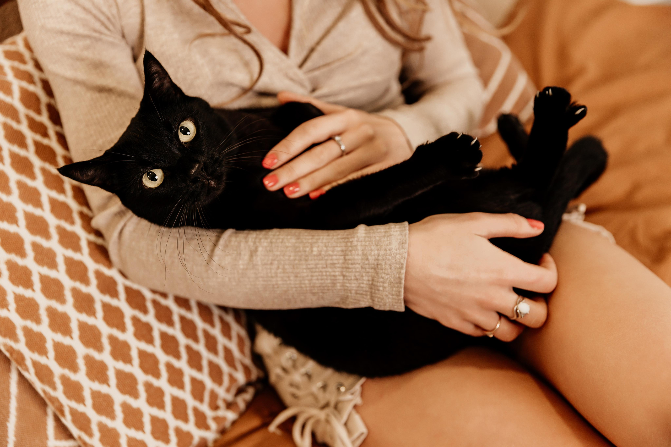 Maija & cat. ФОТОГРАФ |ЛАТВИЯ | ДАУГАВПИЛС|