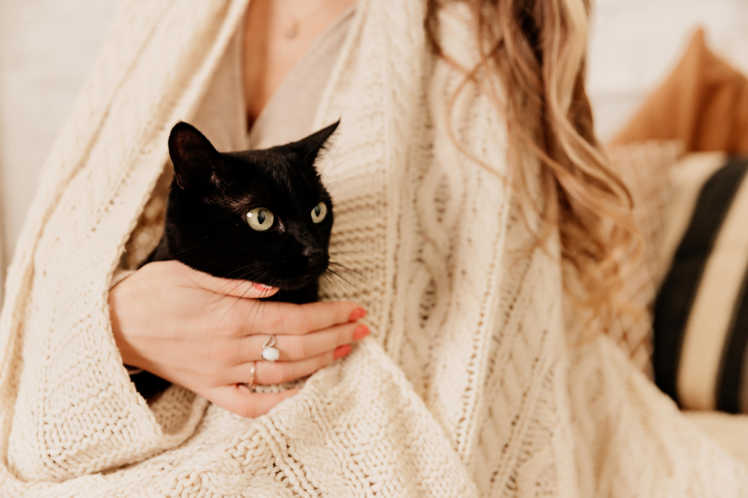 Maija & cat. ФОТОГРАФ |ЛАТВИЯ | ДАУГАВПИЛС|