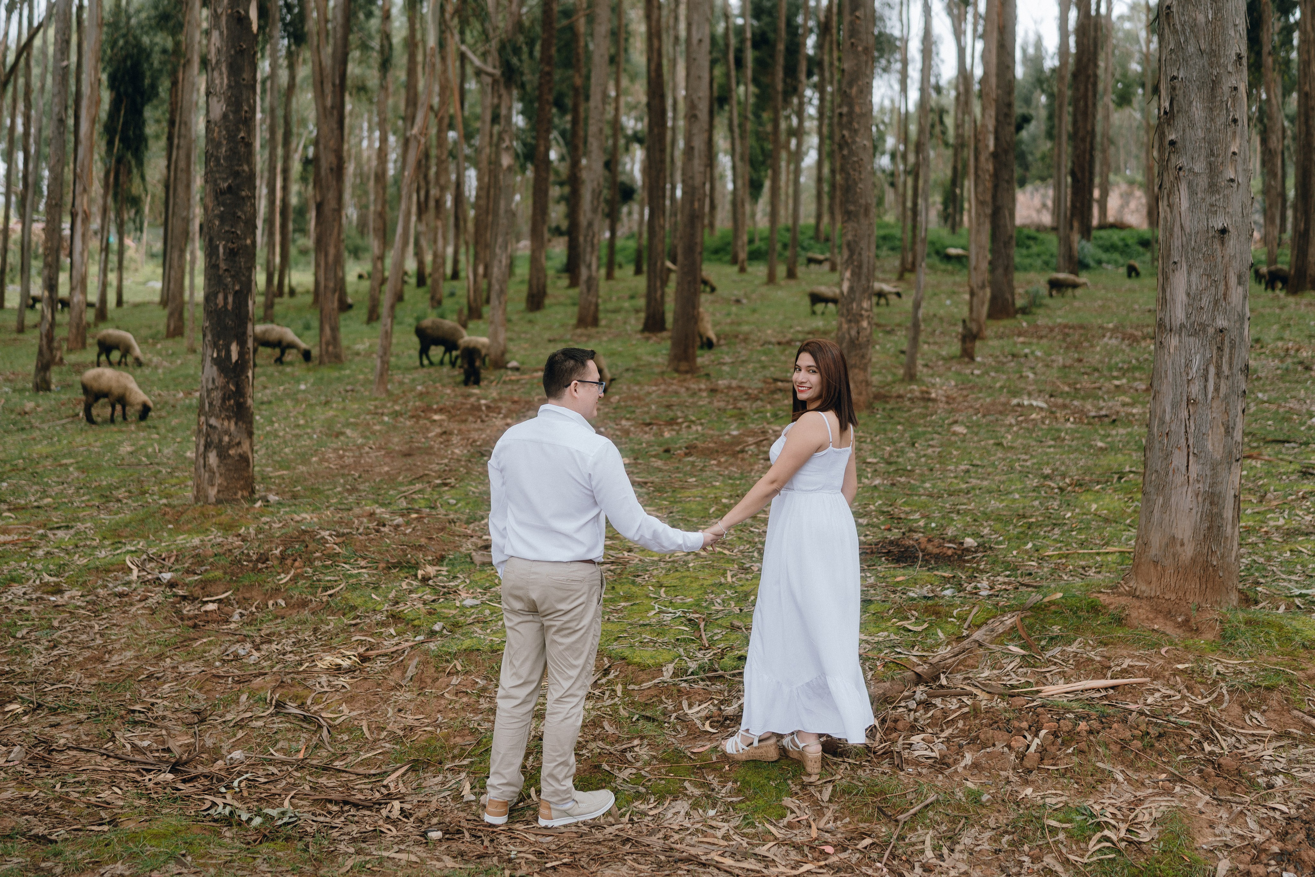 Cinthya & Denilson. Fotografo de Bodas Josu Feijoo