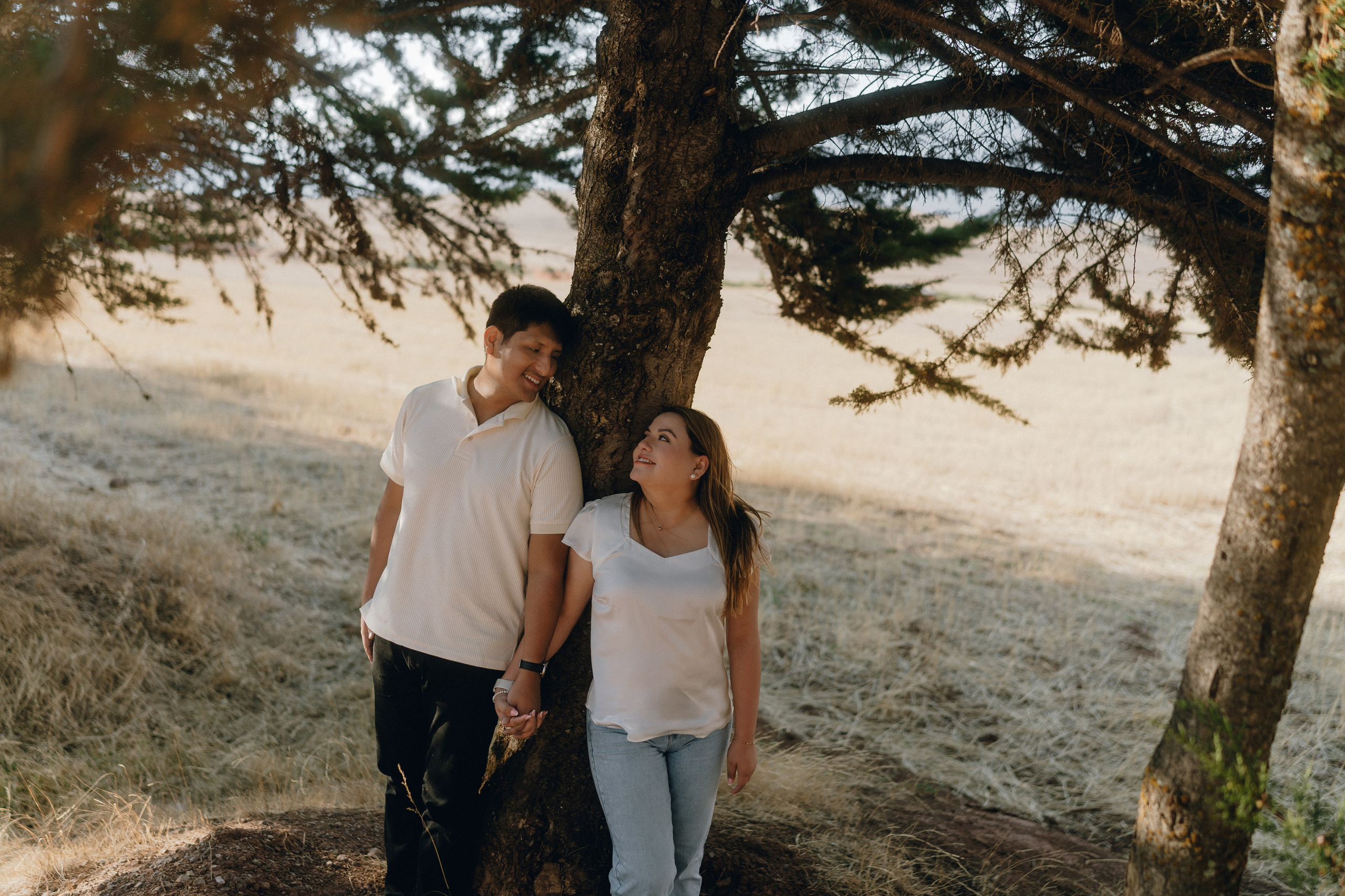 PROPUESTAS DE MATRIMONIO. Fotografo de Bodas Josu Feijoo