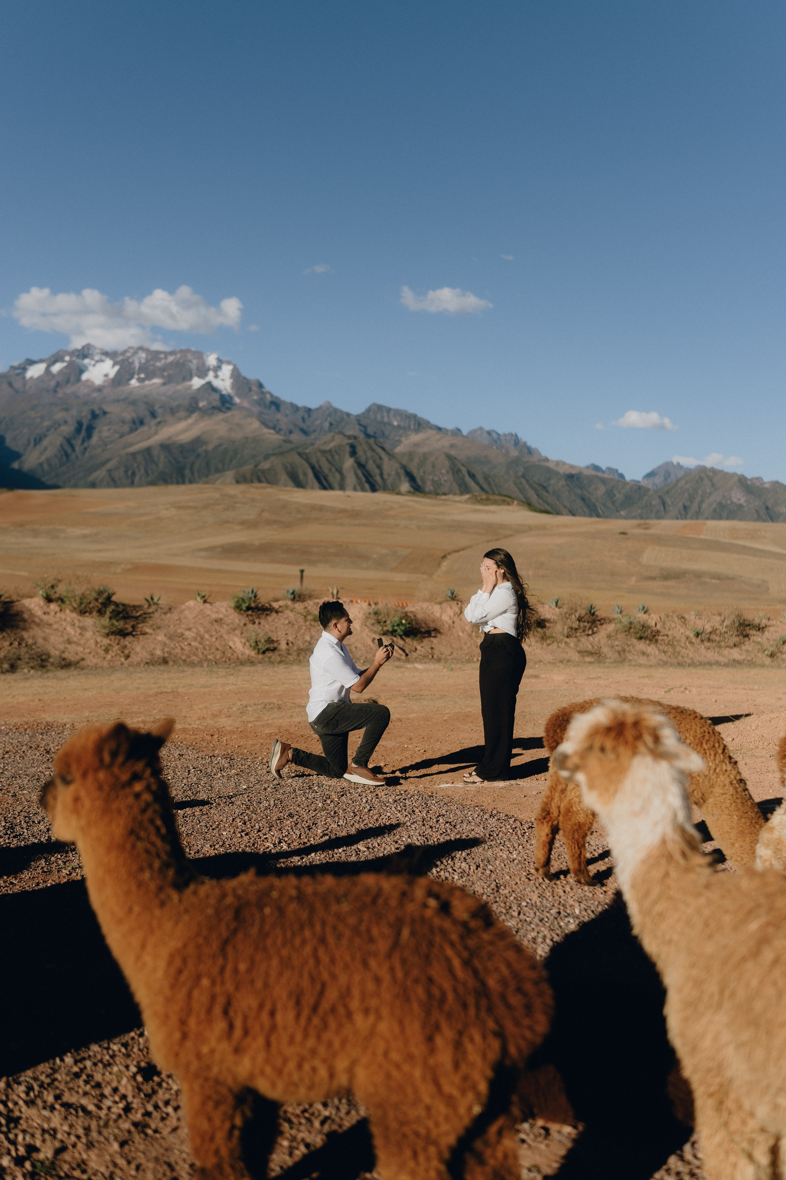 Services. Wedding and Couple photographer in Cusco, Peru|Josu Feijoo
