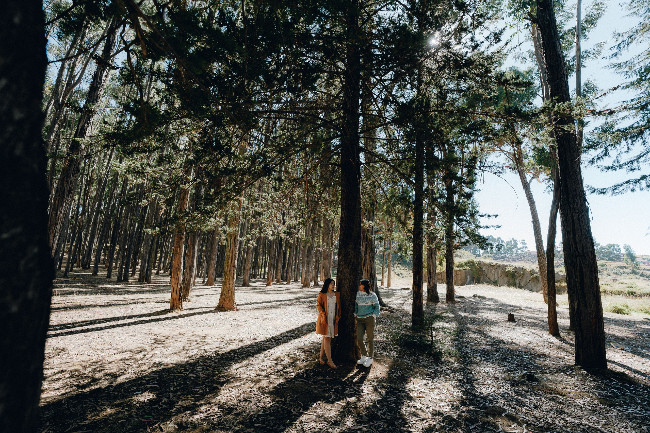 Grecia & Eliani 🌈. Fotografo de Bodas Josu Feijoo