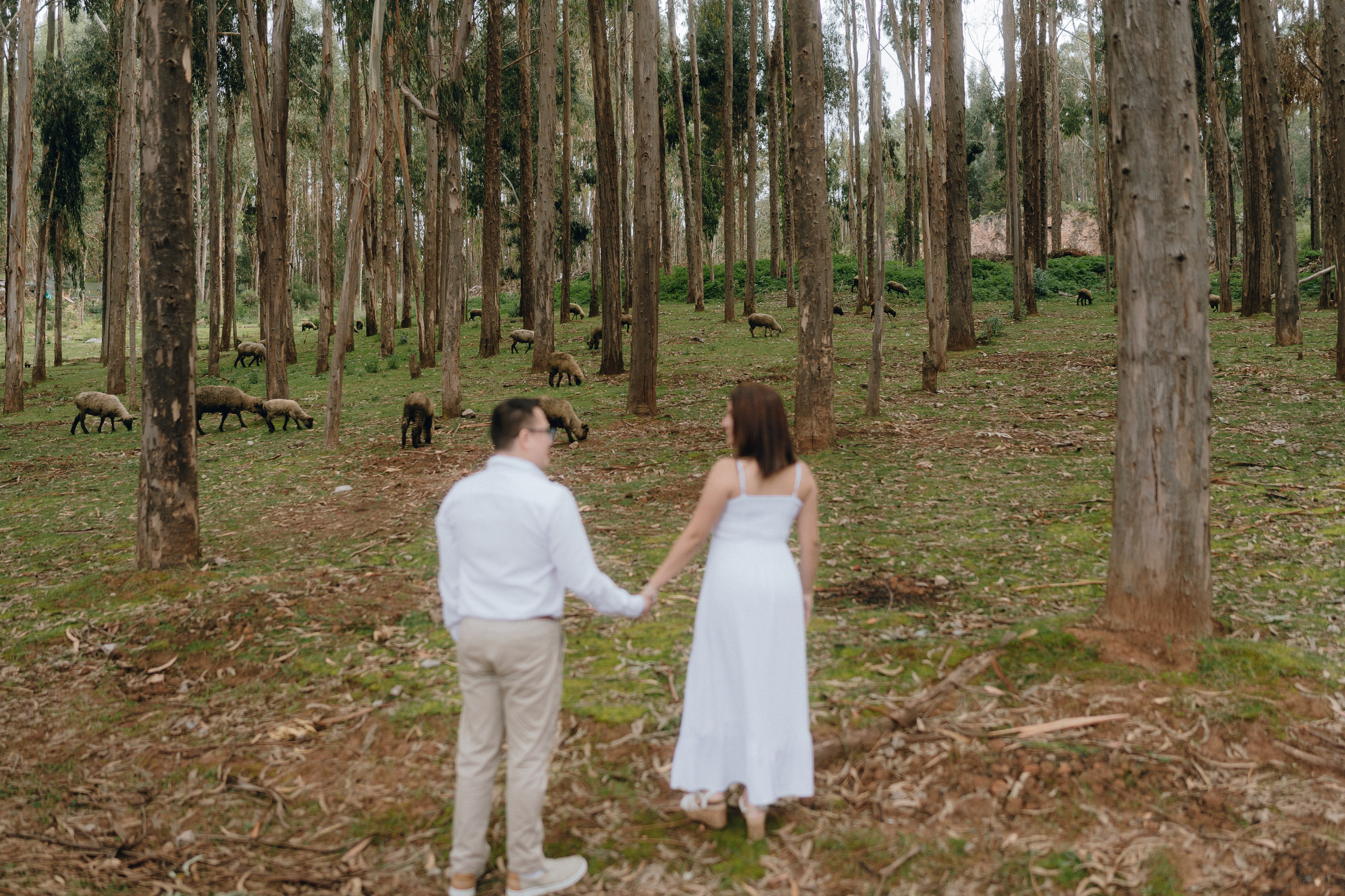 Cinthya & Denilson. Fotografo de Bodas Josu Feijoo