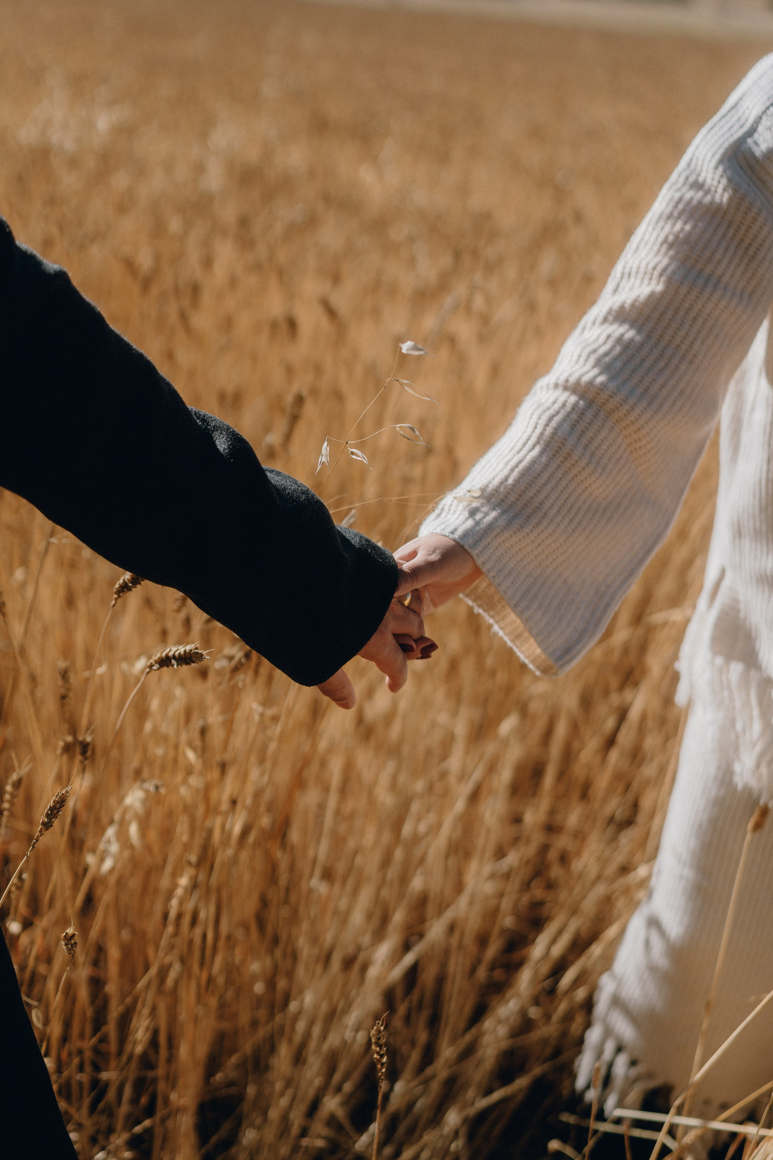 Anace & Oscar. Fotografo de Bodas Josu Feijoo