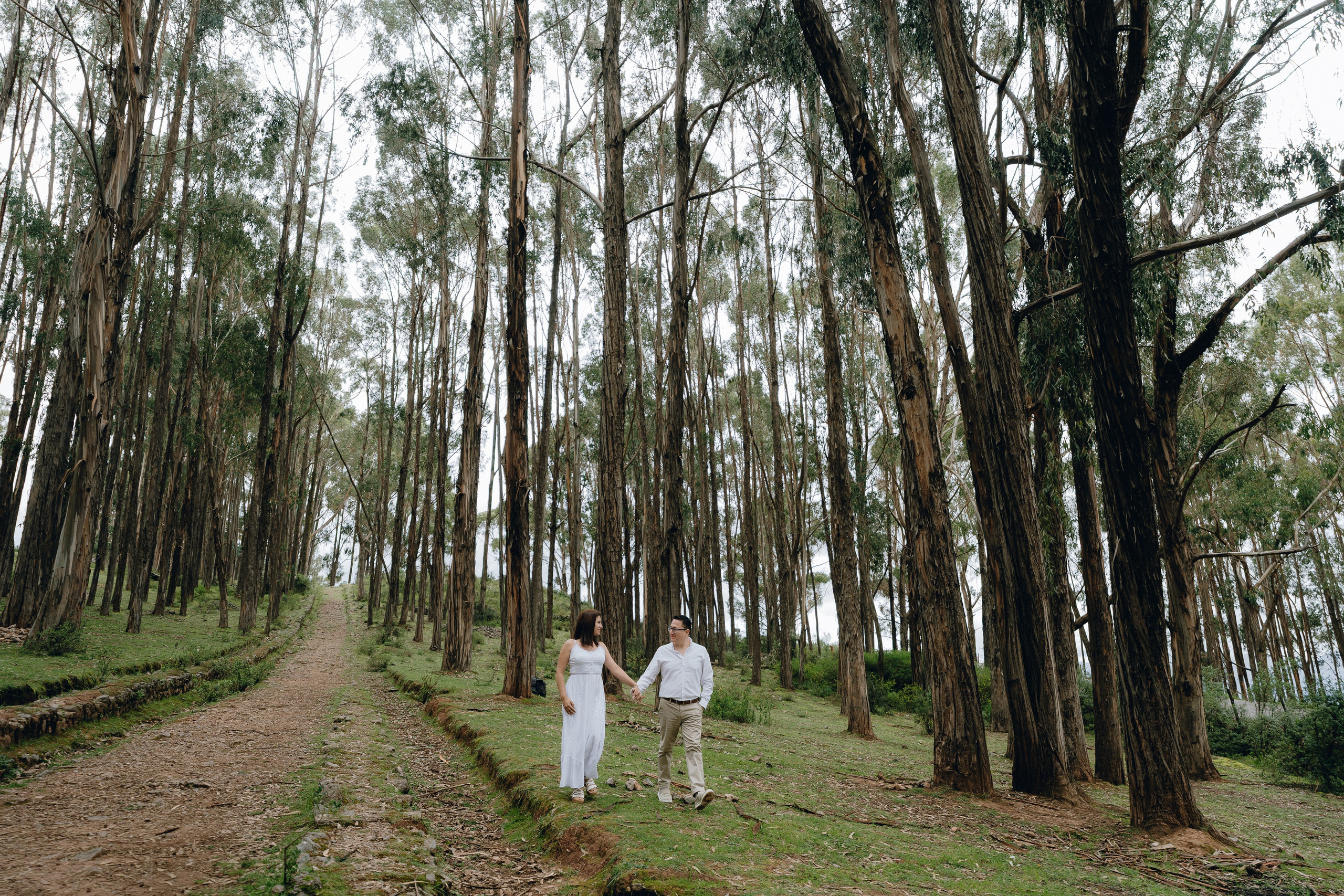 Cinthya & Denilson. Fotografo de Bodas Josu Feijoo